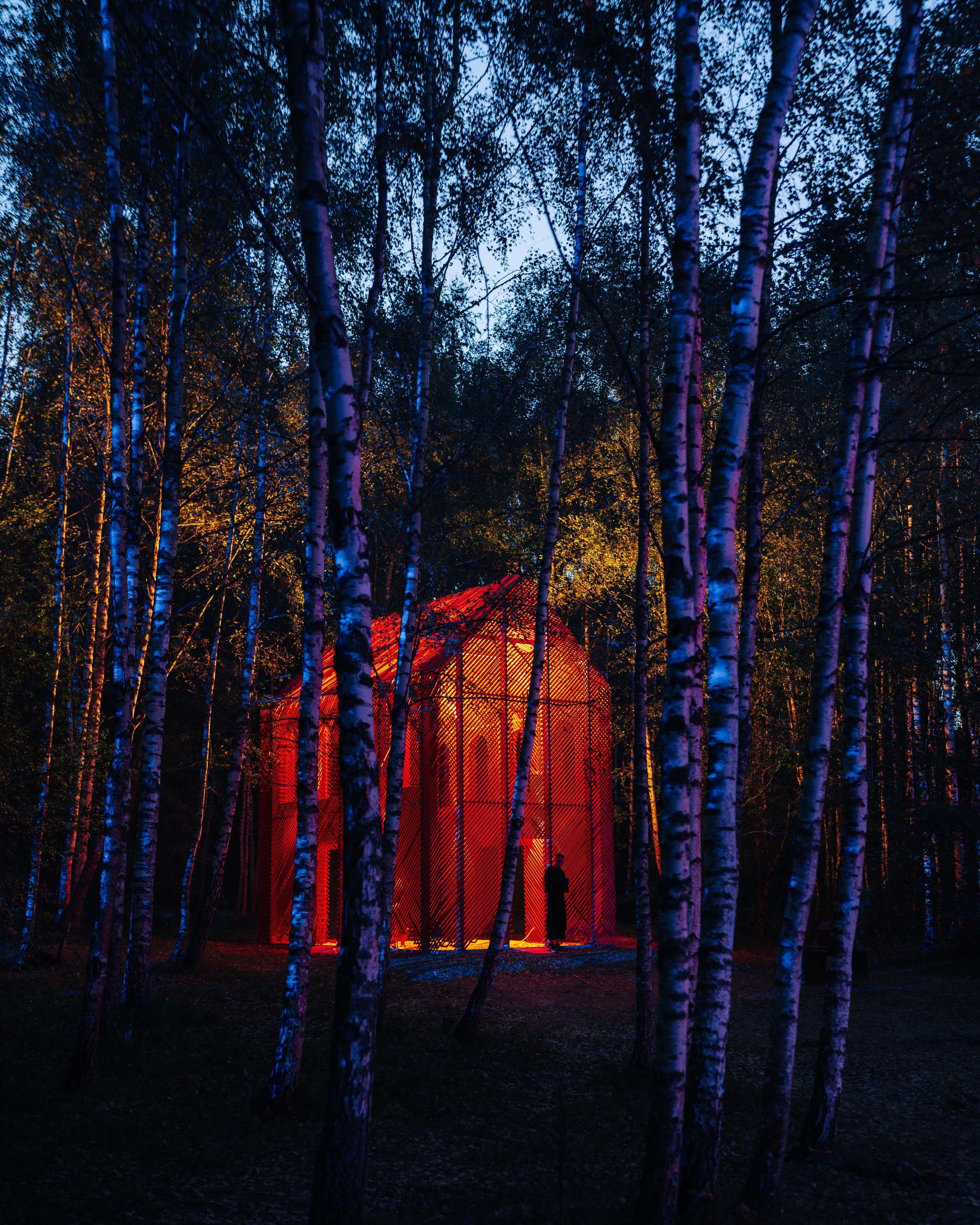 Signal 2024. @tomrus: Рустам Шагиморданов — фотограф