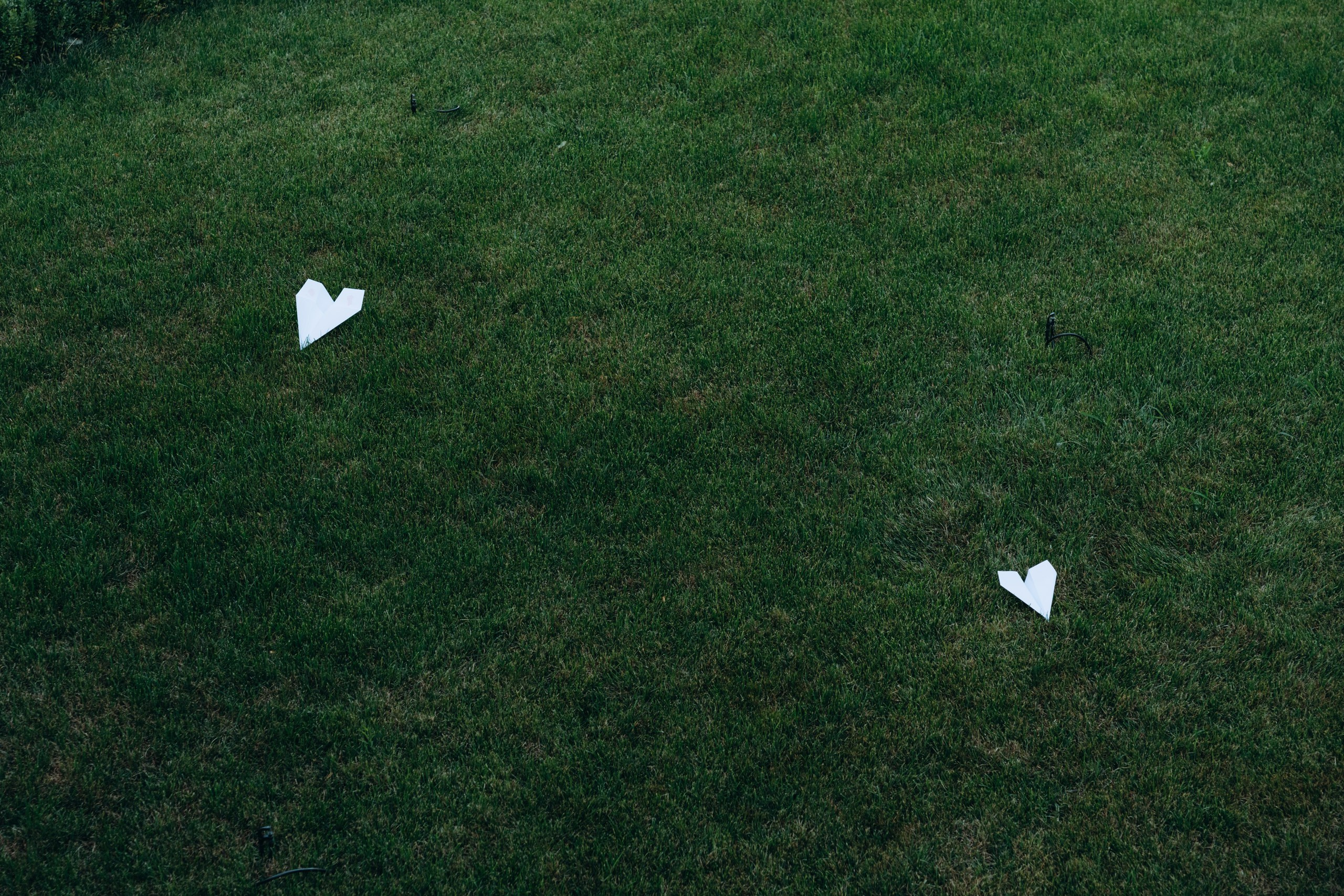 Гендер-пати | Организатор Artshaar. Портретный свадебный фотограф Крым | Евгения Щитенко