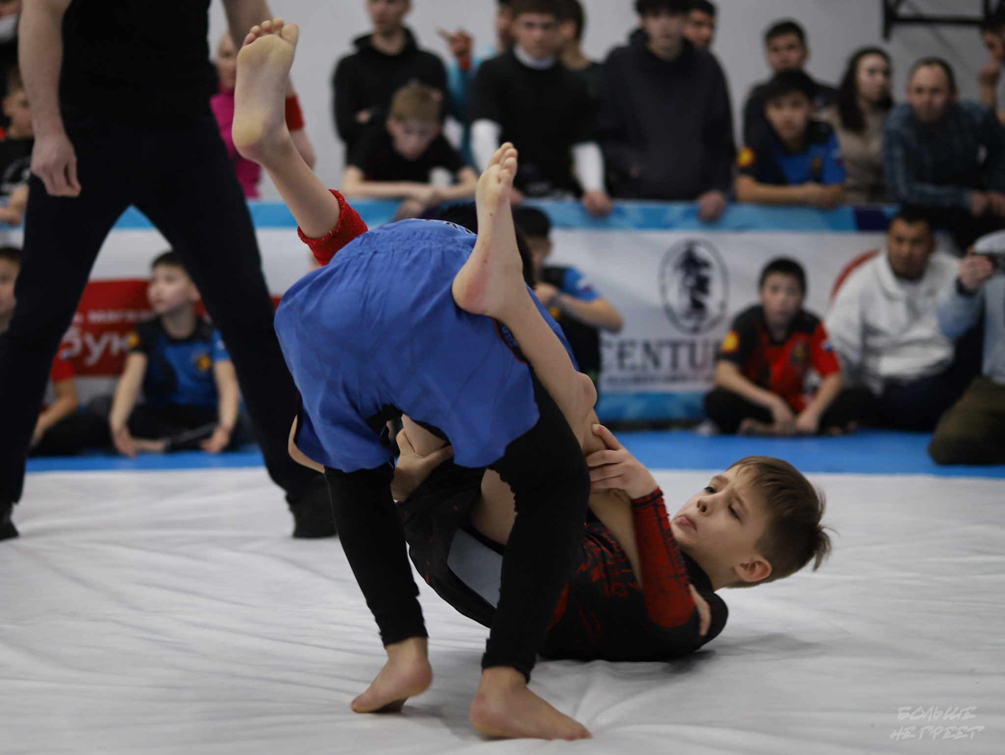 GORILLA PRIDE CUP. Больше не греет