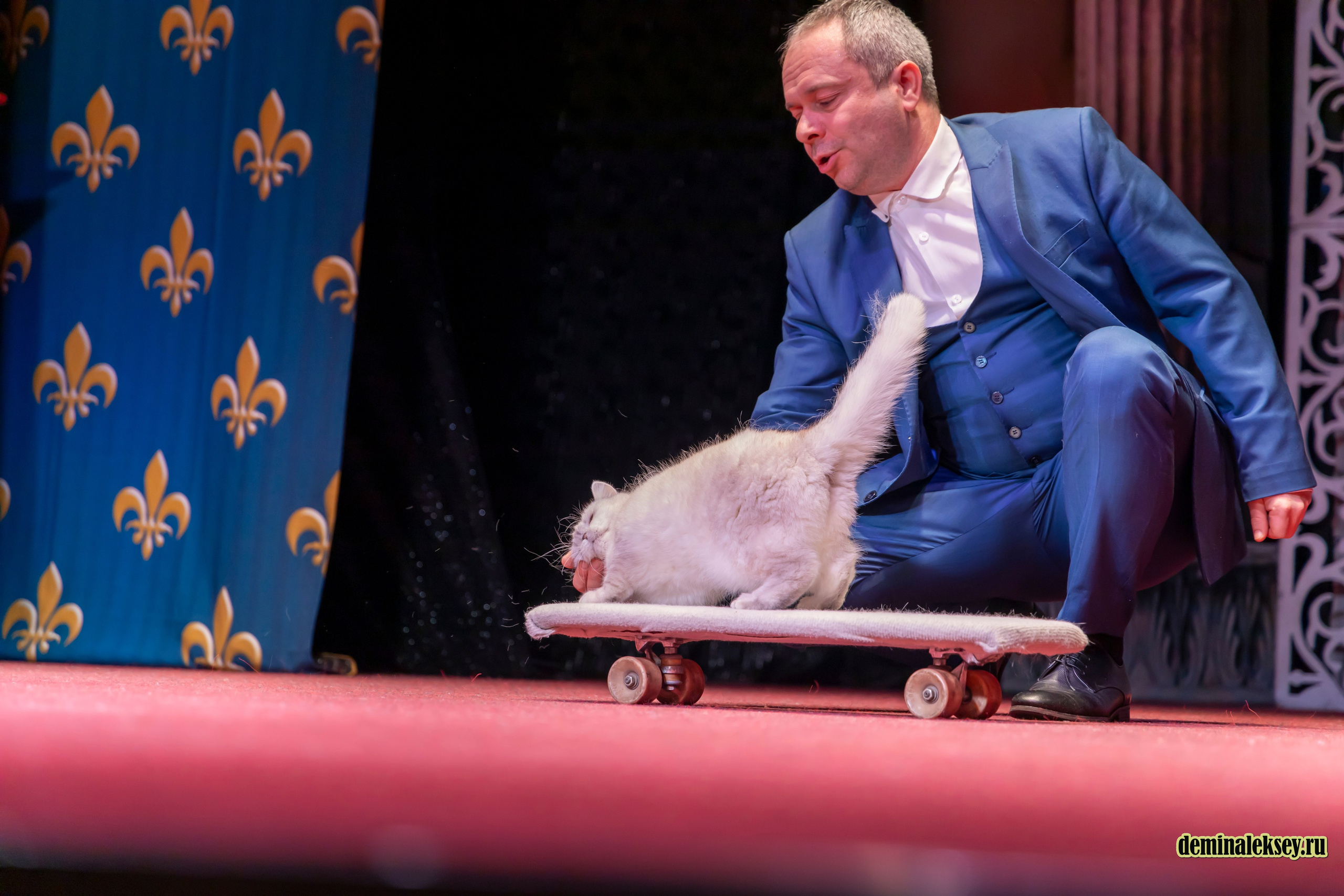 Театр кошек Куклачева 26 февраля 2025. Репортажный, семейный и студийный фотограф в Москве Демин Алексей