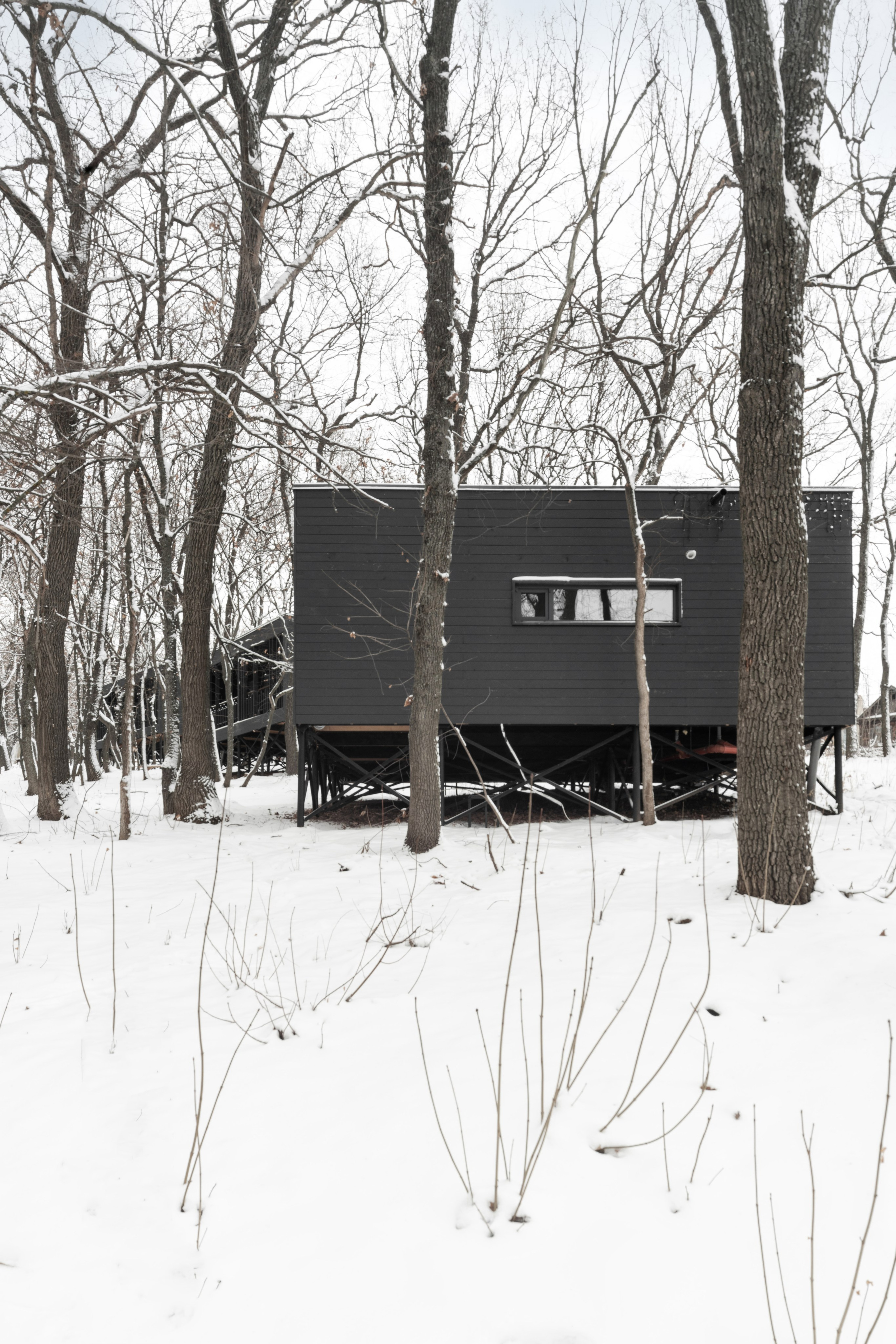 ХОЛМ. SAAS Селиванов Алексей Архитектурная Студия