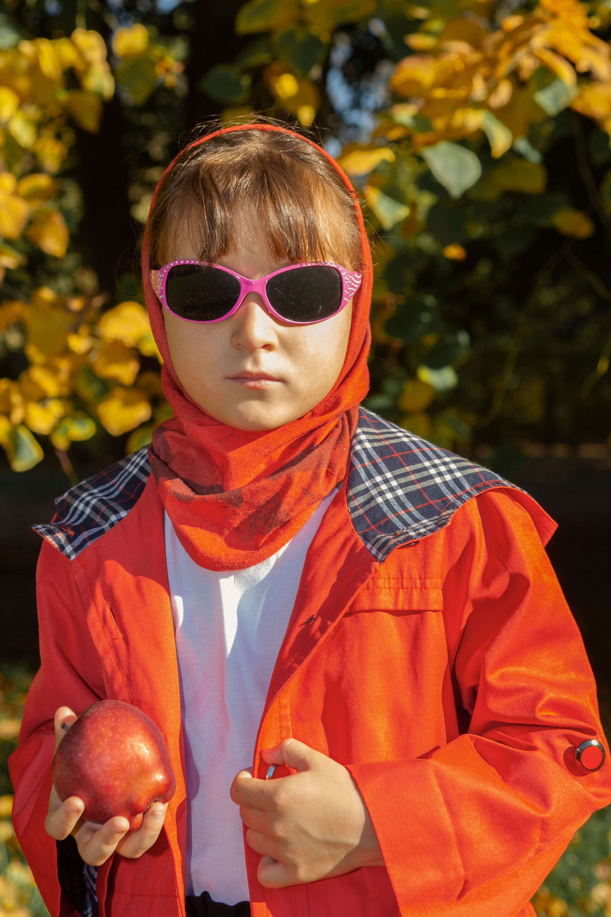 Мари француженка