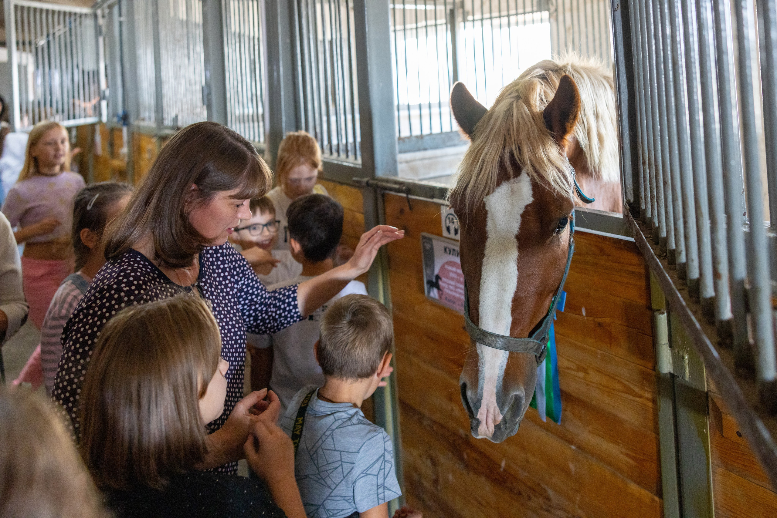 Поездка на поле Кулеково. Фотограф в Туле Крупский АнДРей. Фотостудия «КАДР71» в Туле