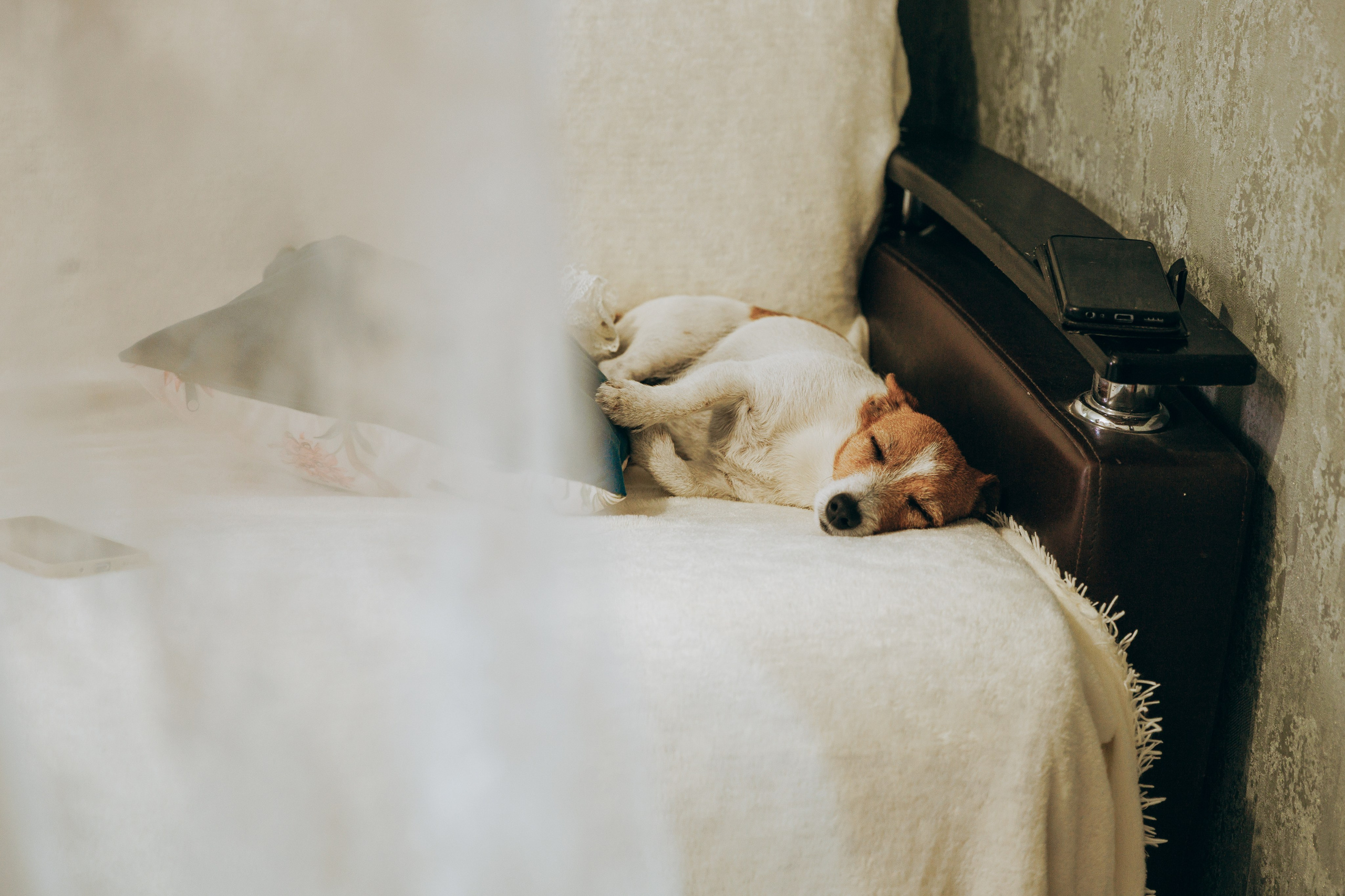 Роман и Екатерина. Портретный и свадебный фотограф в Белгороде Глухова Кристина