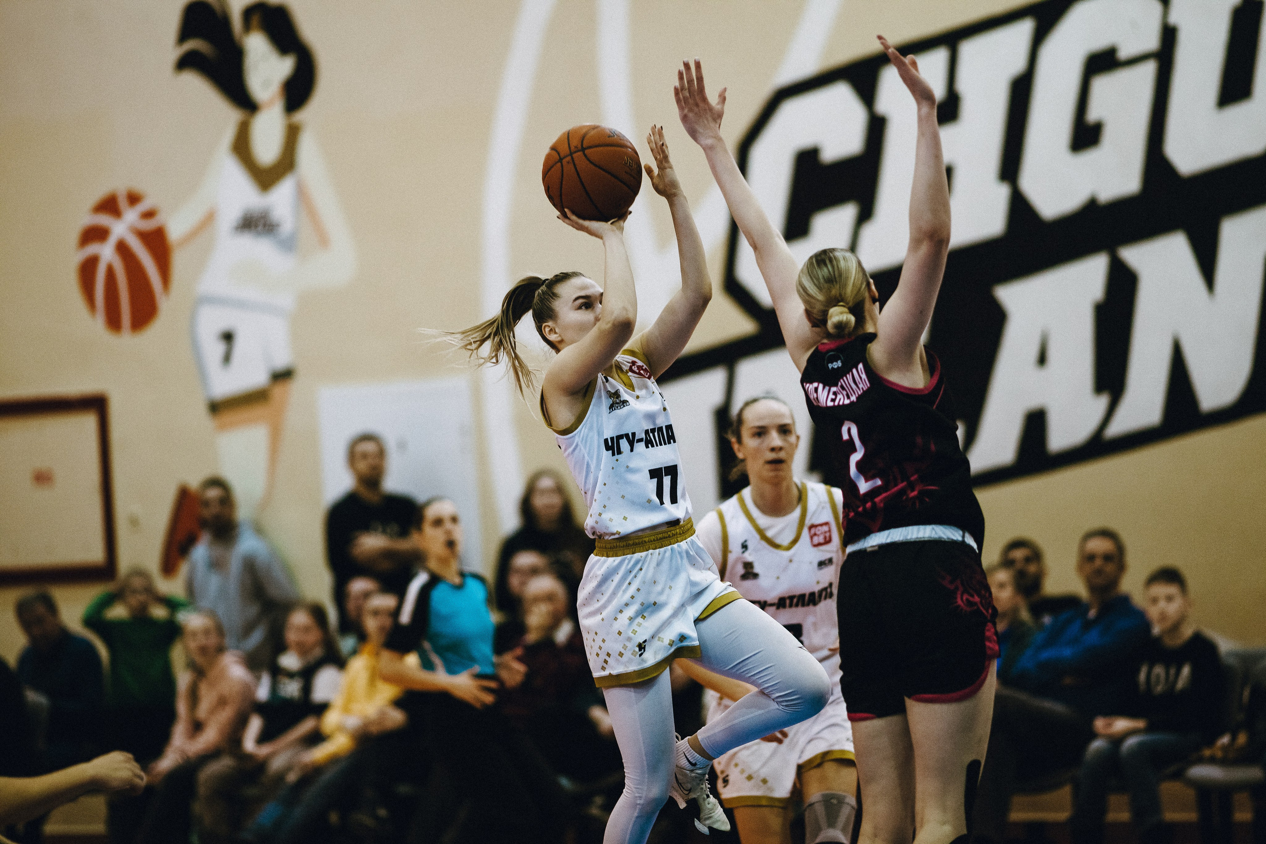 ЧГУ-Атланта — Ростов-ЮФУ / 2 игра. Фотография