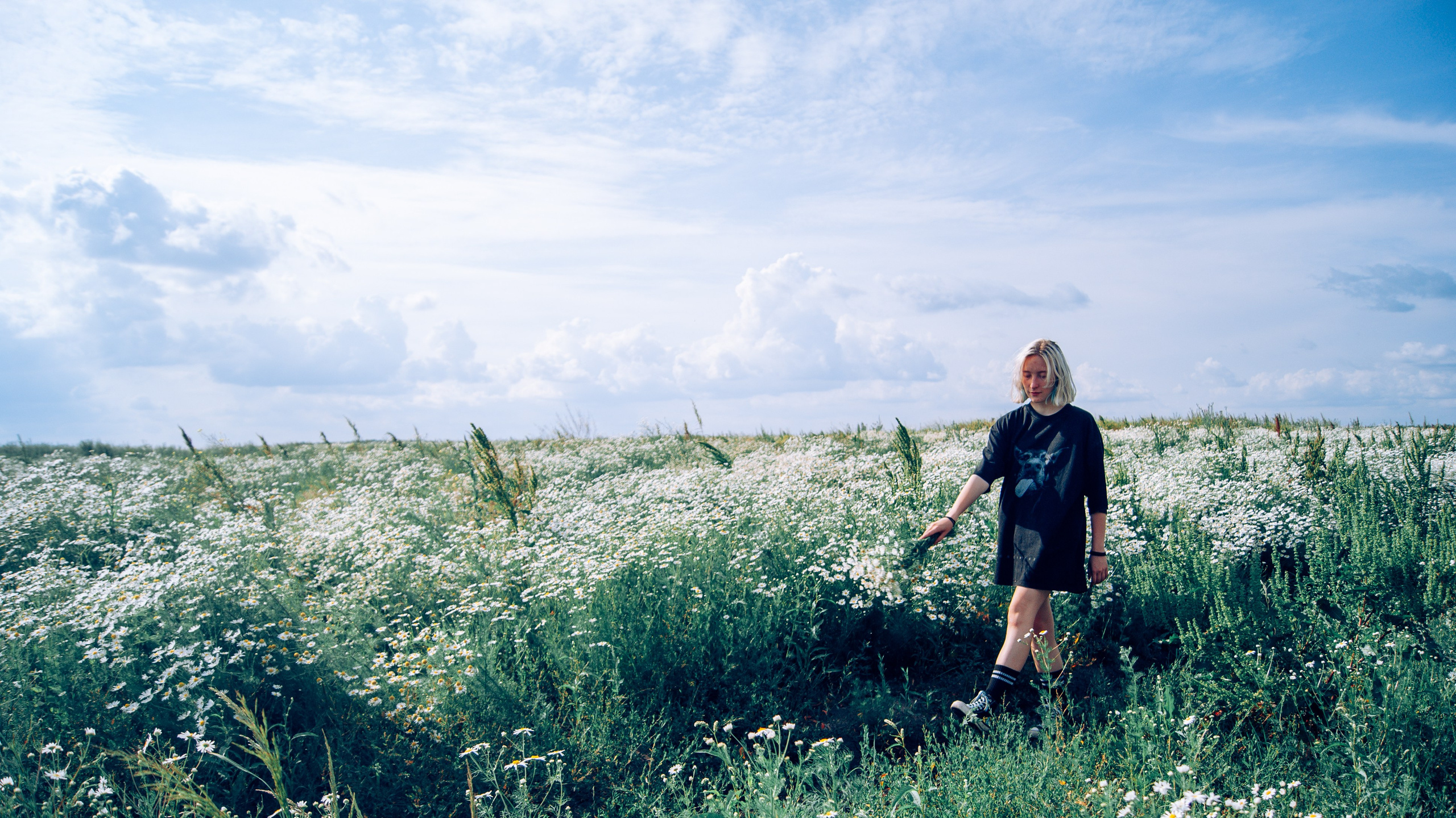 прогулка по ромашковому полю