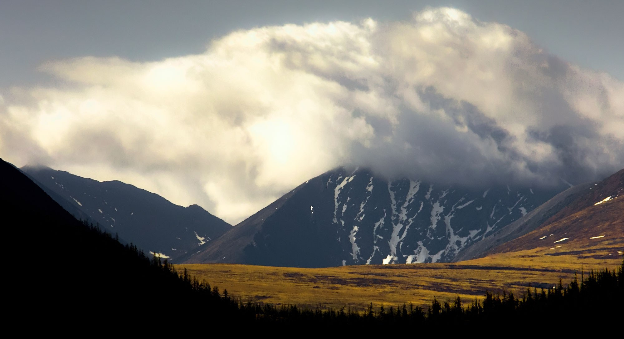 Свадебный фотограф в Геленджике