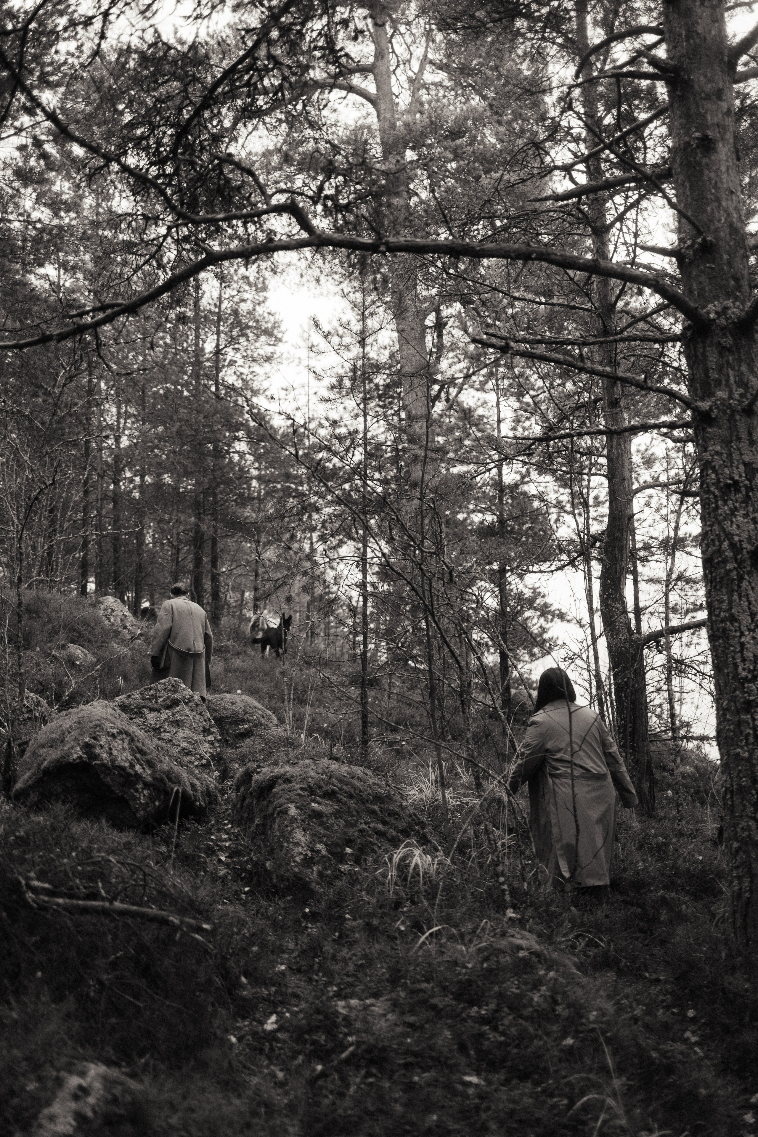 Лена, Глеб, Ральф и Рэй. Фотограф в Выборге и Санкт-Петербурге Маша Гуляева
