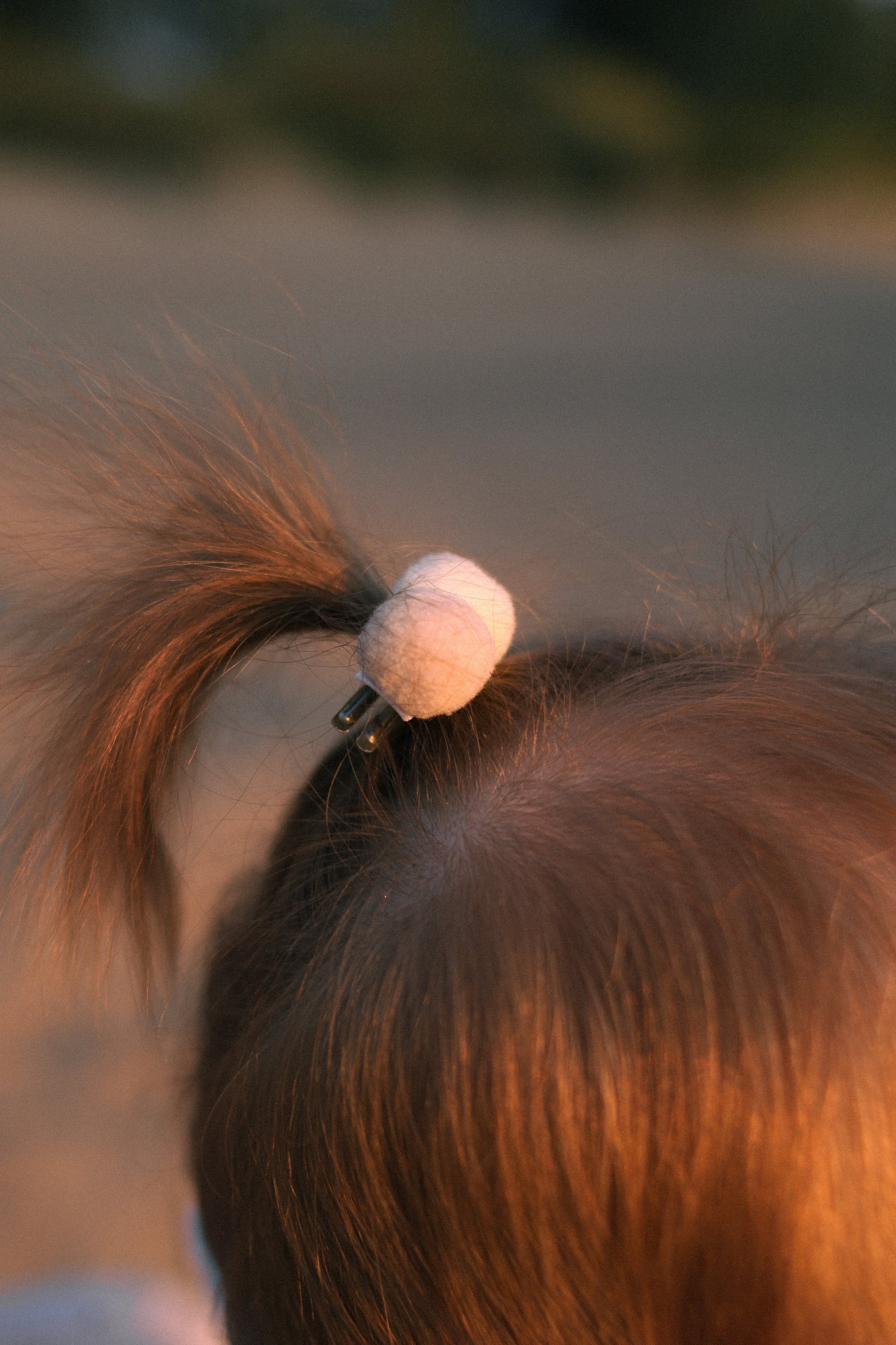 Настя + Антон + Евочка. Свадебный и индивидуальный фотограф в Волгограде Епихина Надежда