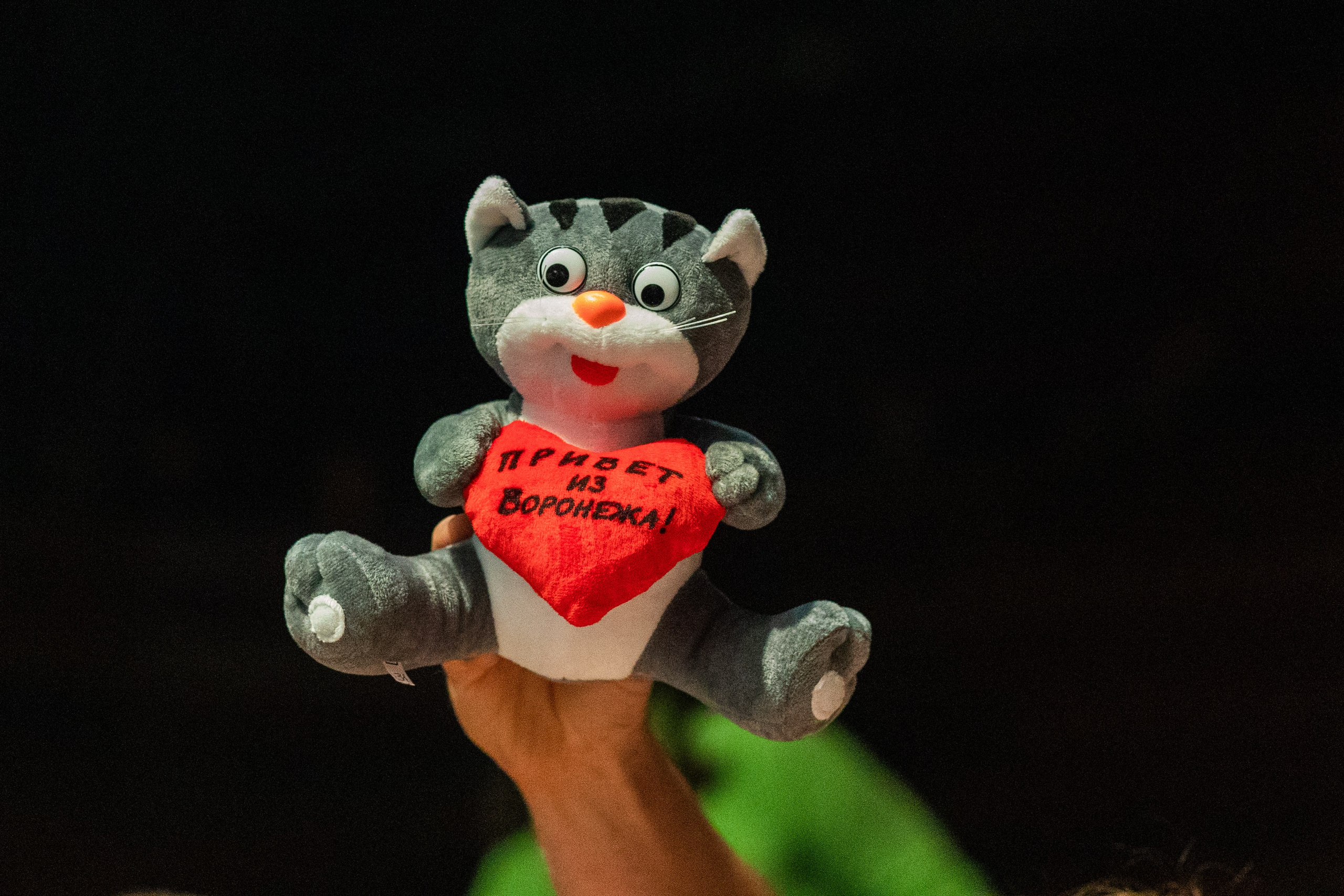 7Б. Фотограф Сонкина Татьяна