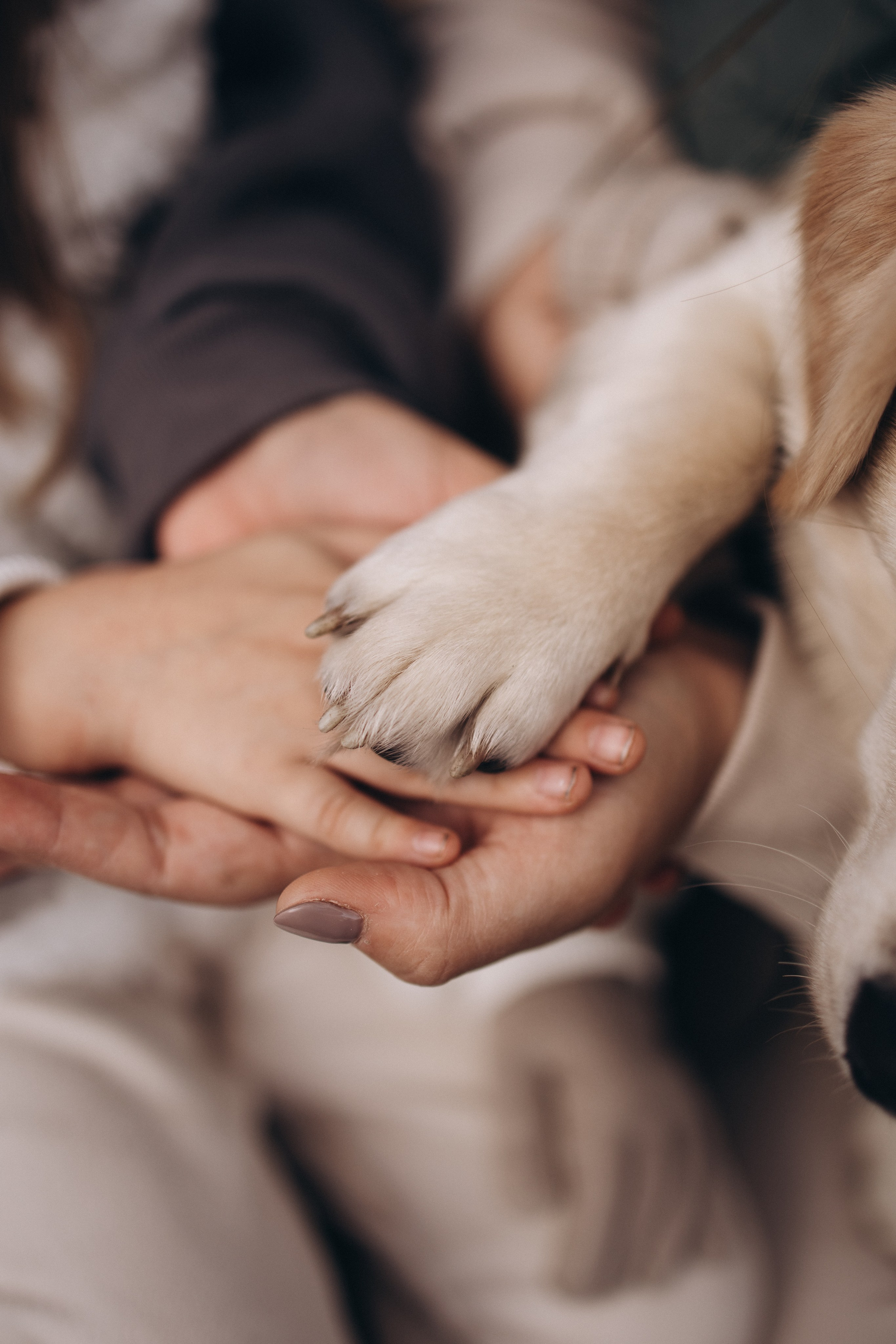 Осенняя прогулка в парке. Женя, Таня, Лера и Сэм. Семейный и детский фотограф в Москве Маргарита Сереброва