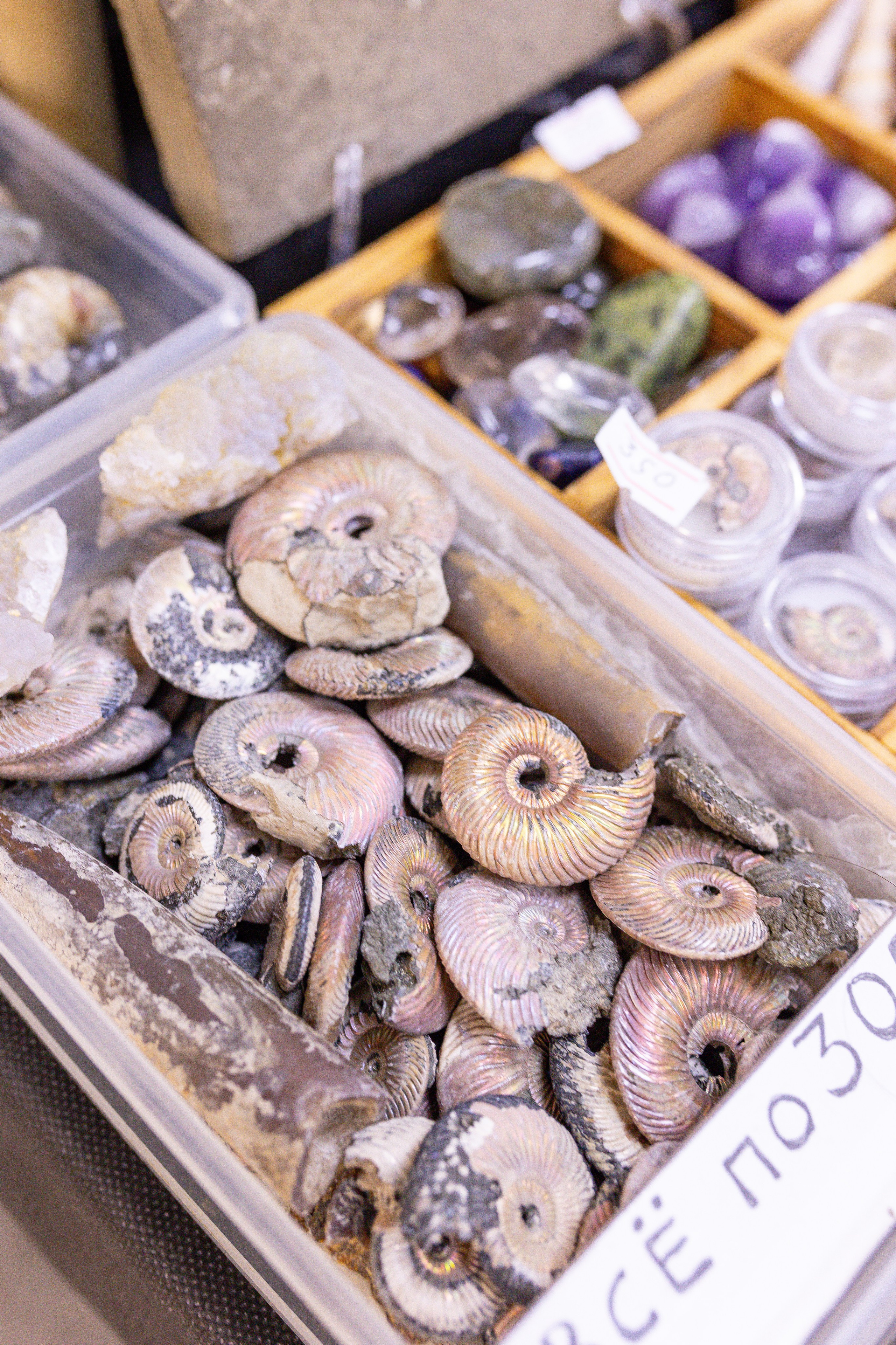 Монстериум 11–12 октября. Александра Куликова фотограф, Москва