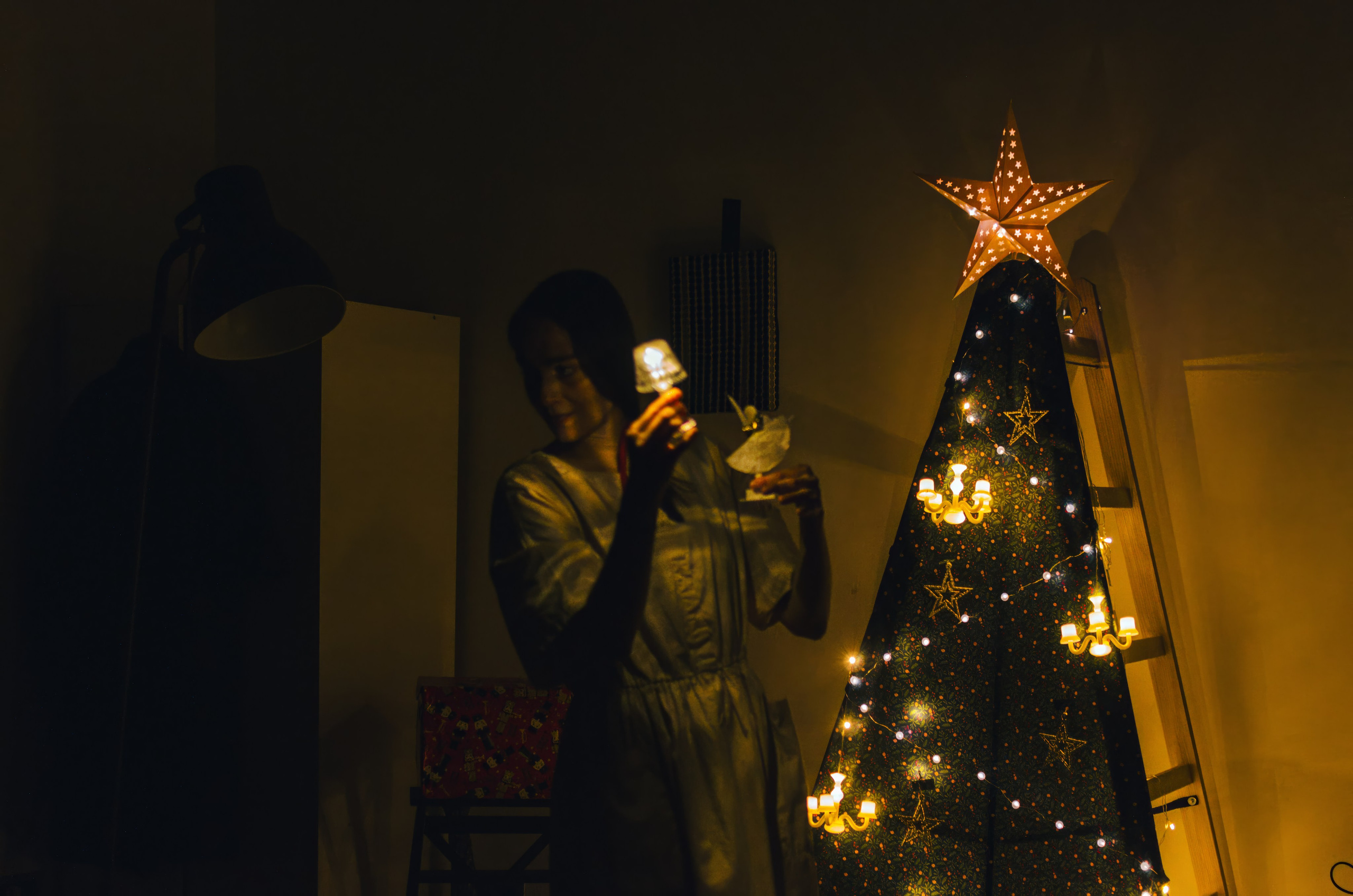 Performance «The Nutcracker». Event photographer Alena Iurchenko