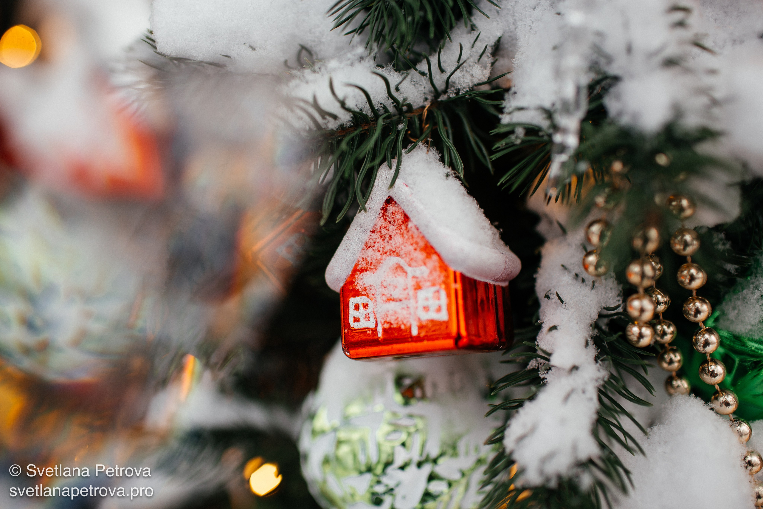 С Новым 2026 годом!. Фотограф Светлана Петрова