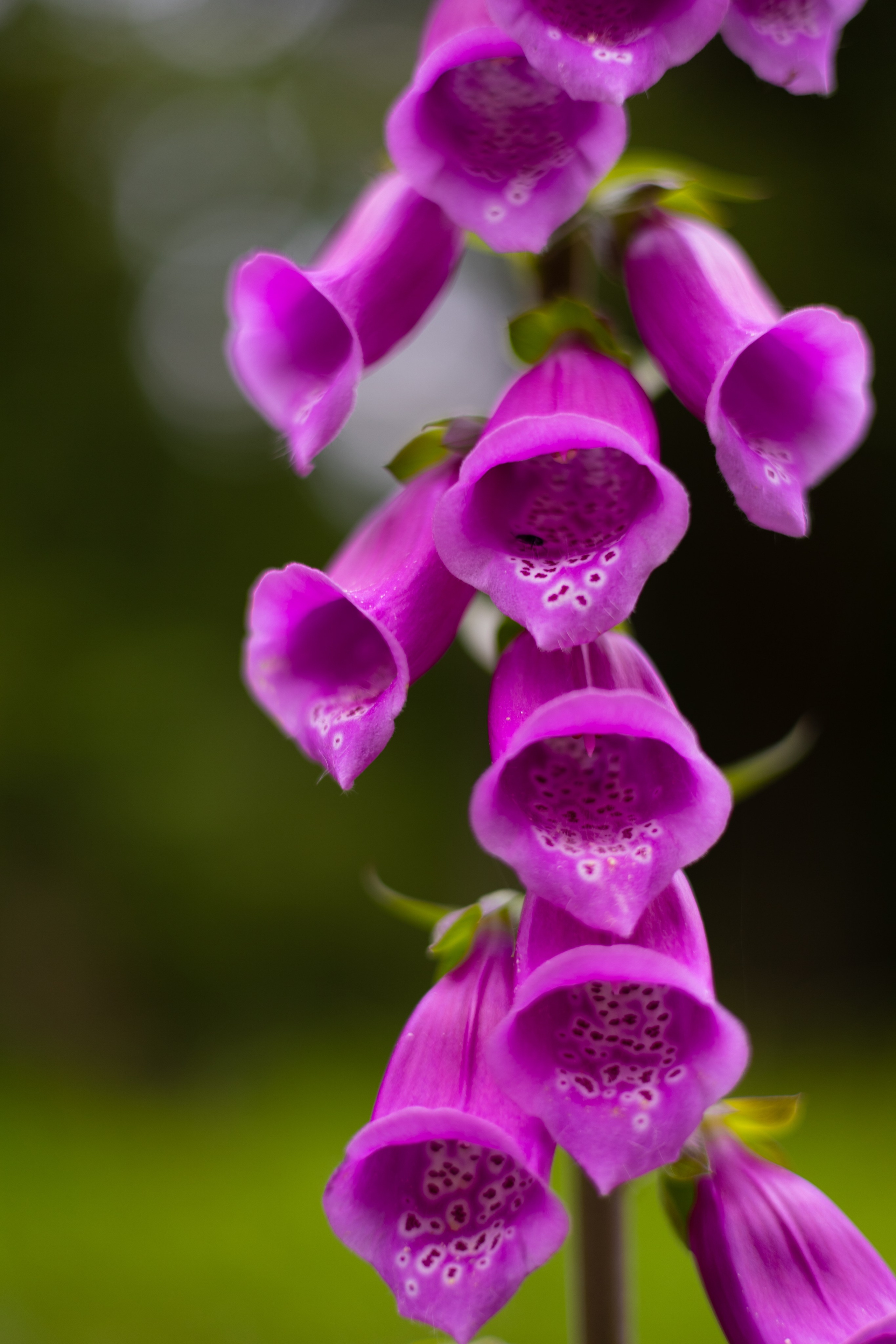 Bischofsgrün. ITMAG.ME | Visual Art