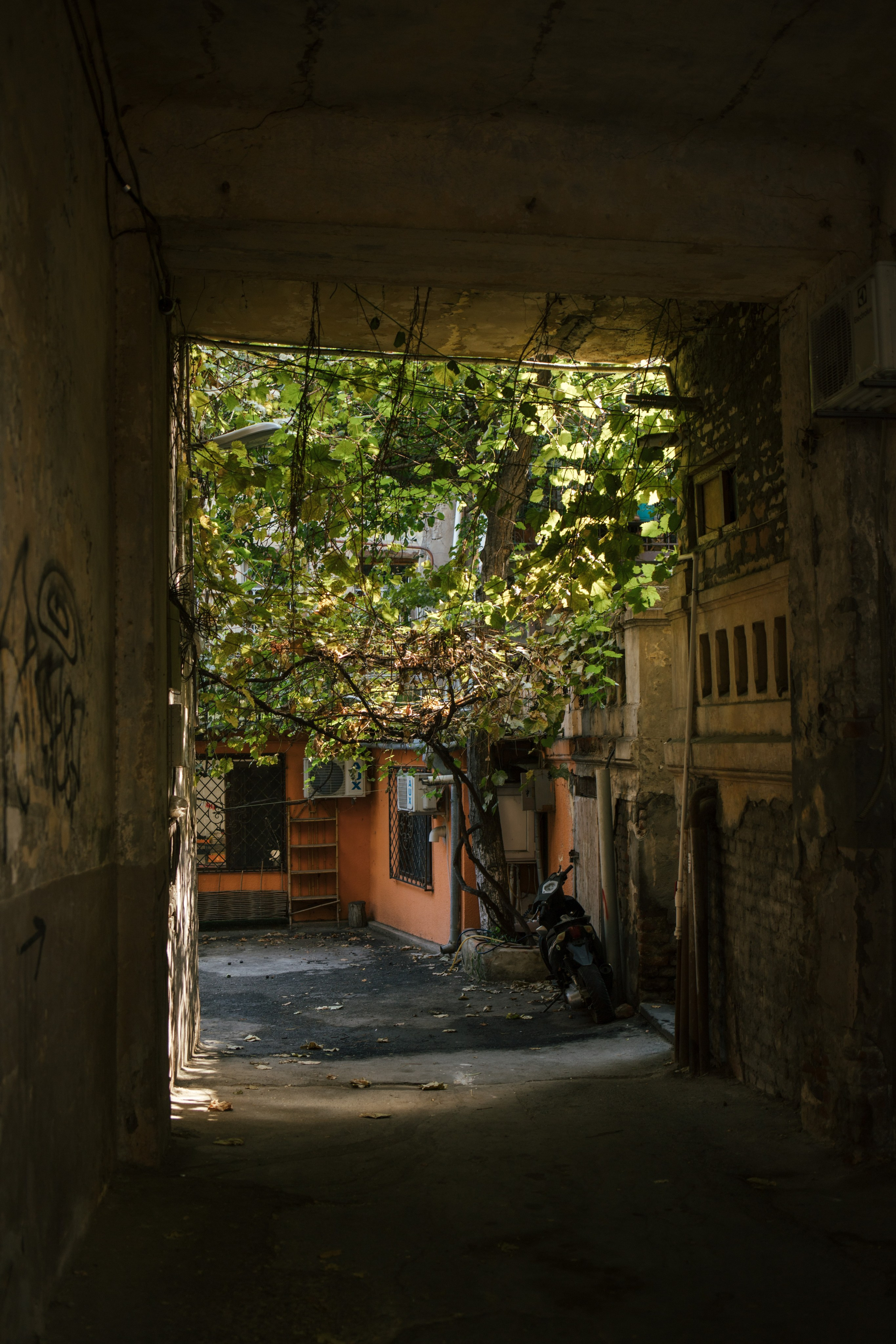 Tbilisi, Georgia. Photographer Alina Skitovich