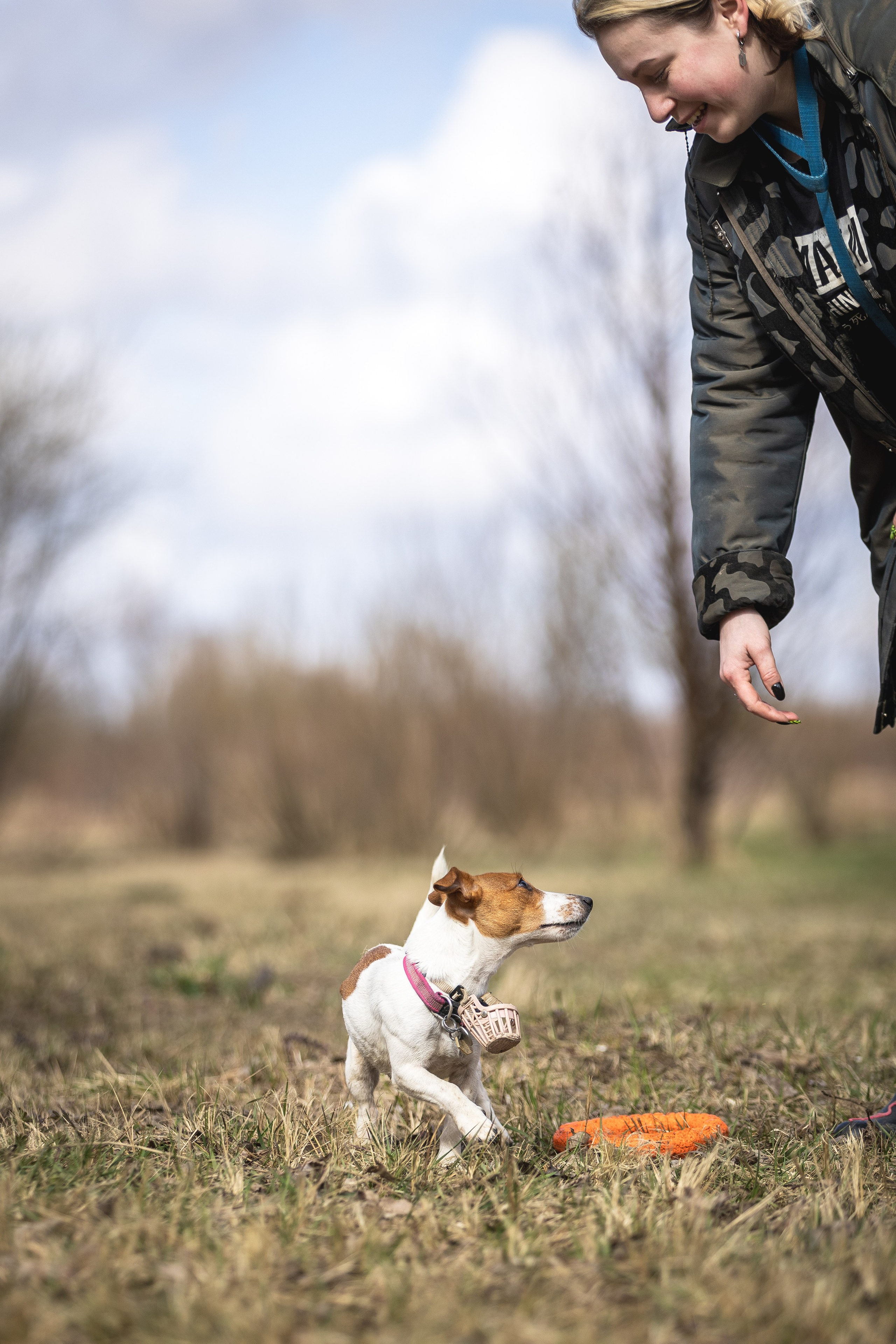 Догтуса 24.03.2024. Ирина Голомб|Фотограф-анималист в  Сочи и Калининграде