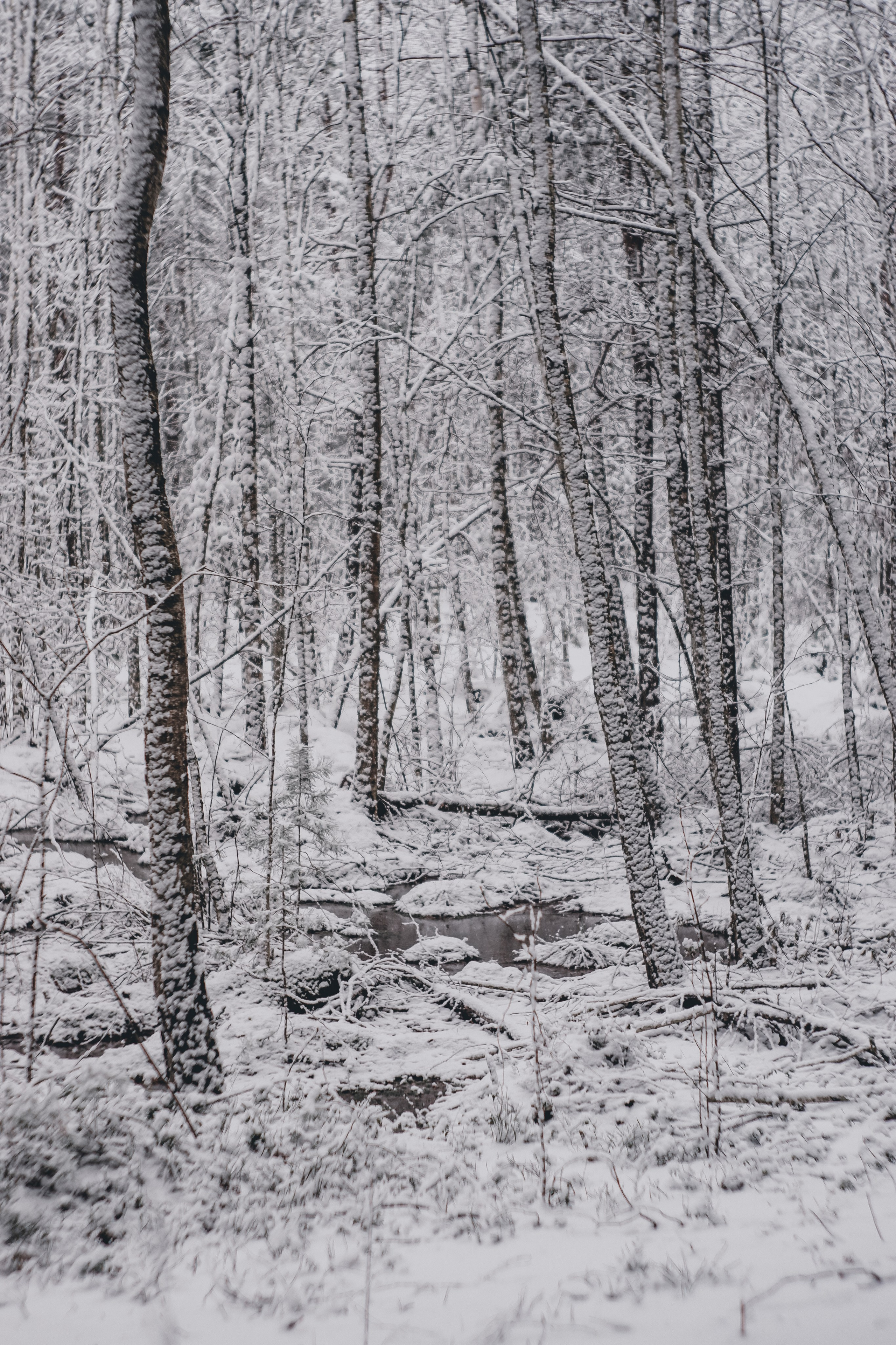 ЧБ  пейзажи (BnW landscape). Фотограф (photographer) Lischinski Vitaliy