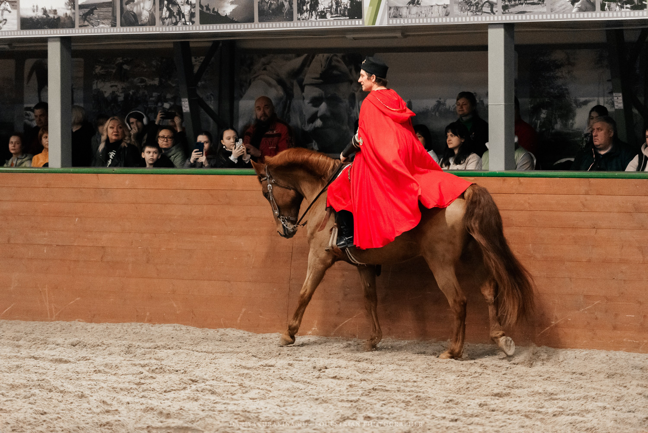 Конное представление «Дыхание Звёзд». Конный фотограф Куракина Дарья • Фотосессии с лошадьми