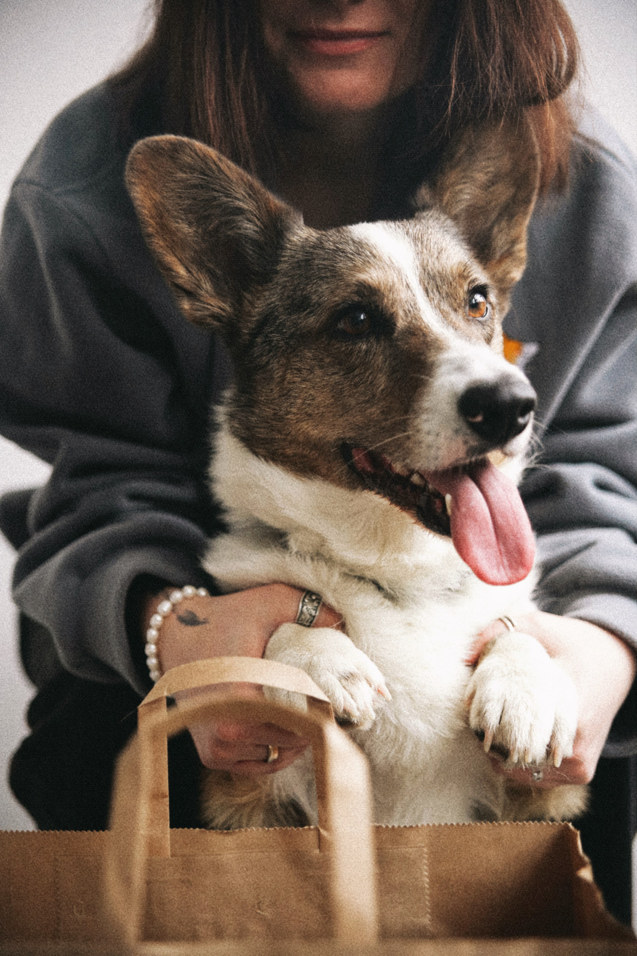 С собаками. Фотограф в Серпухове и Тарусе Ксения Царёва
