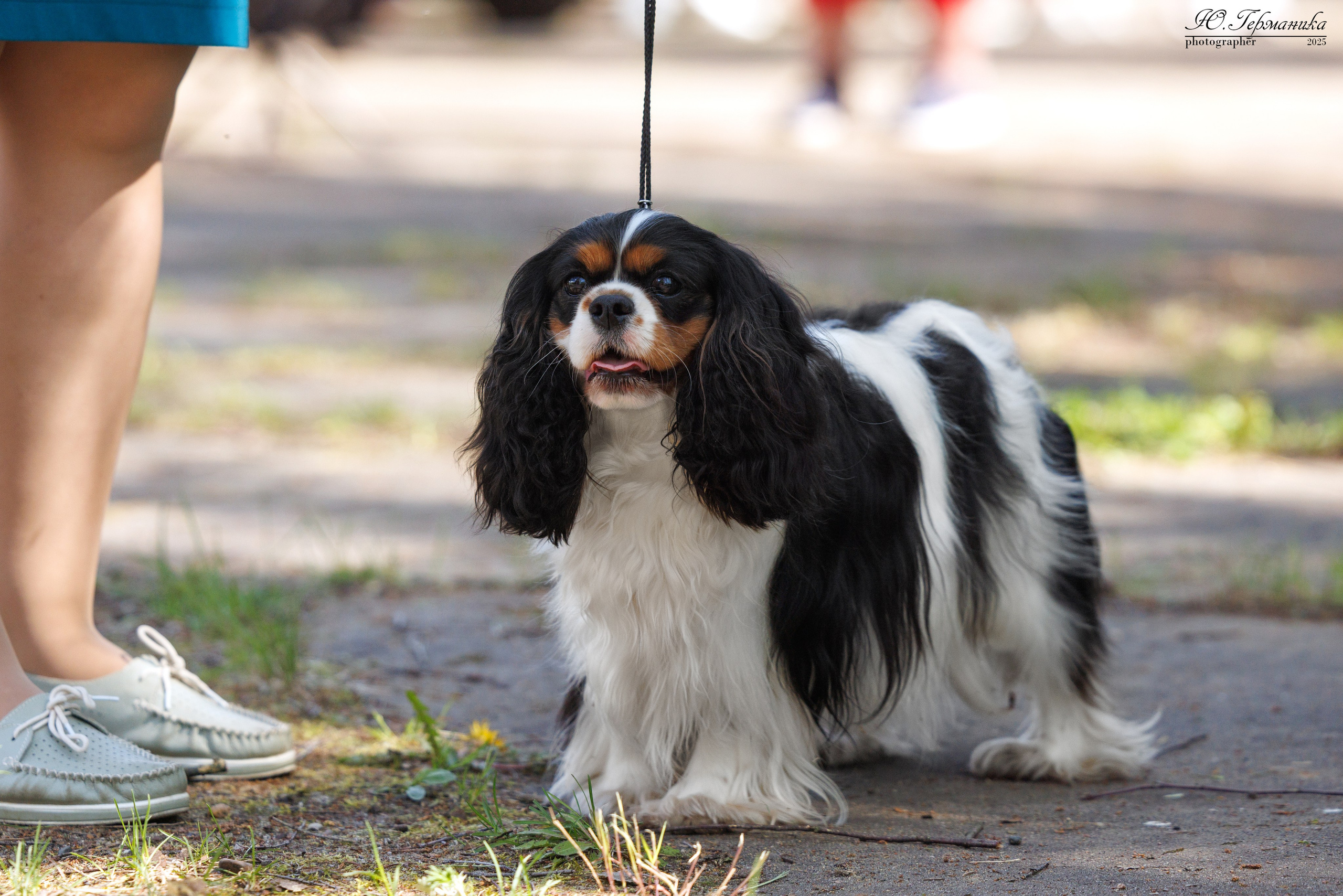 Тверь 24.05.2025. Фотограф-анималист Юлия Германика
