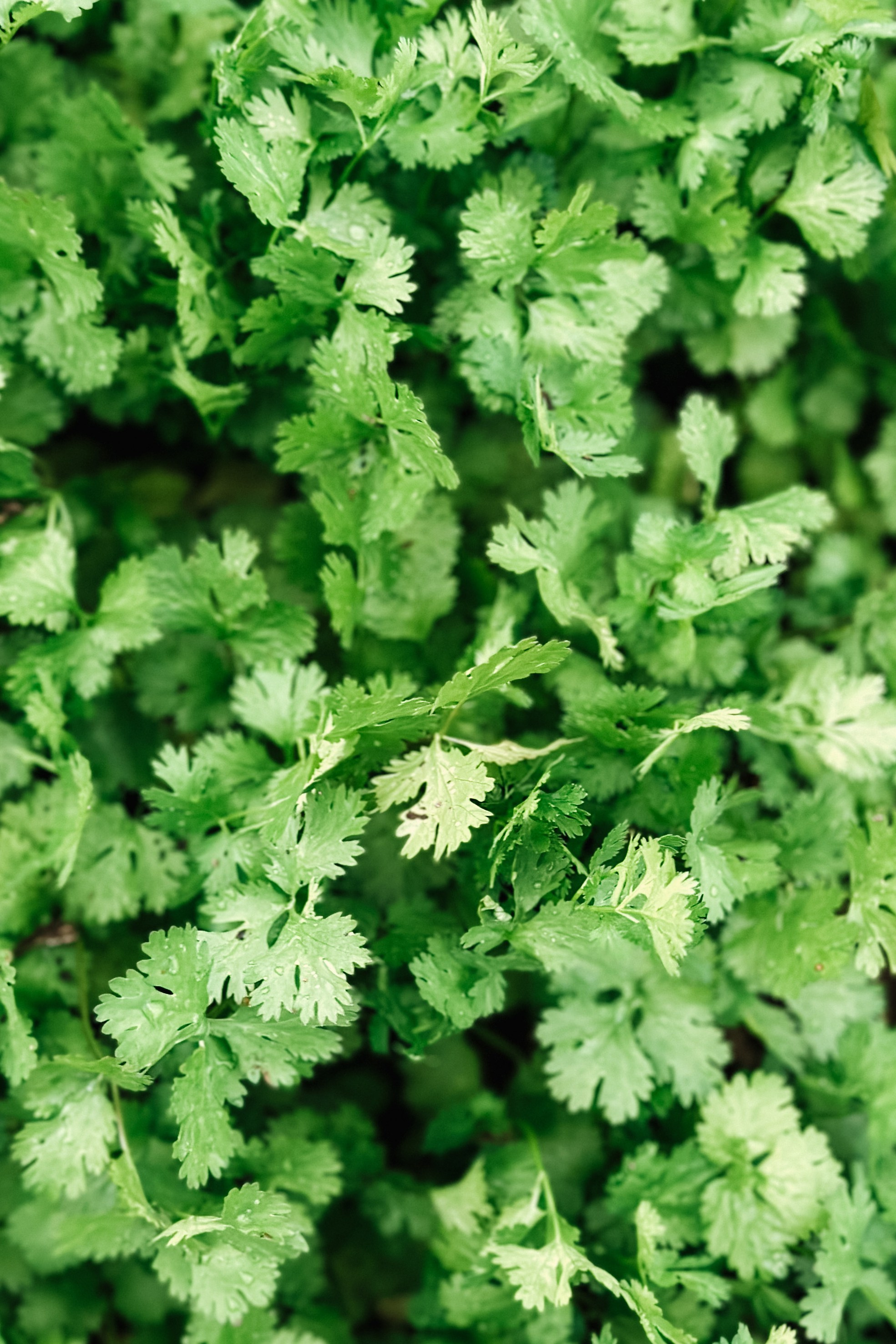 Абстракция. Команда фотографов Кристины Ивановой