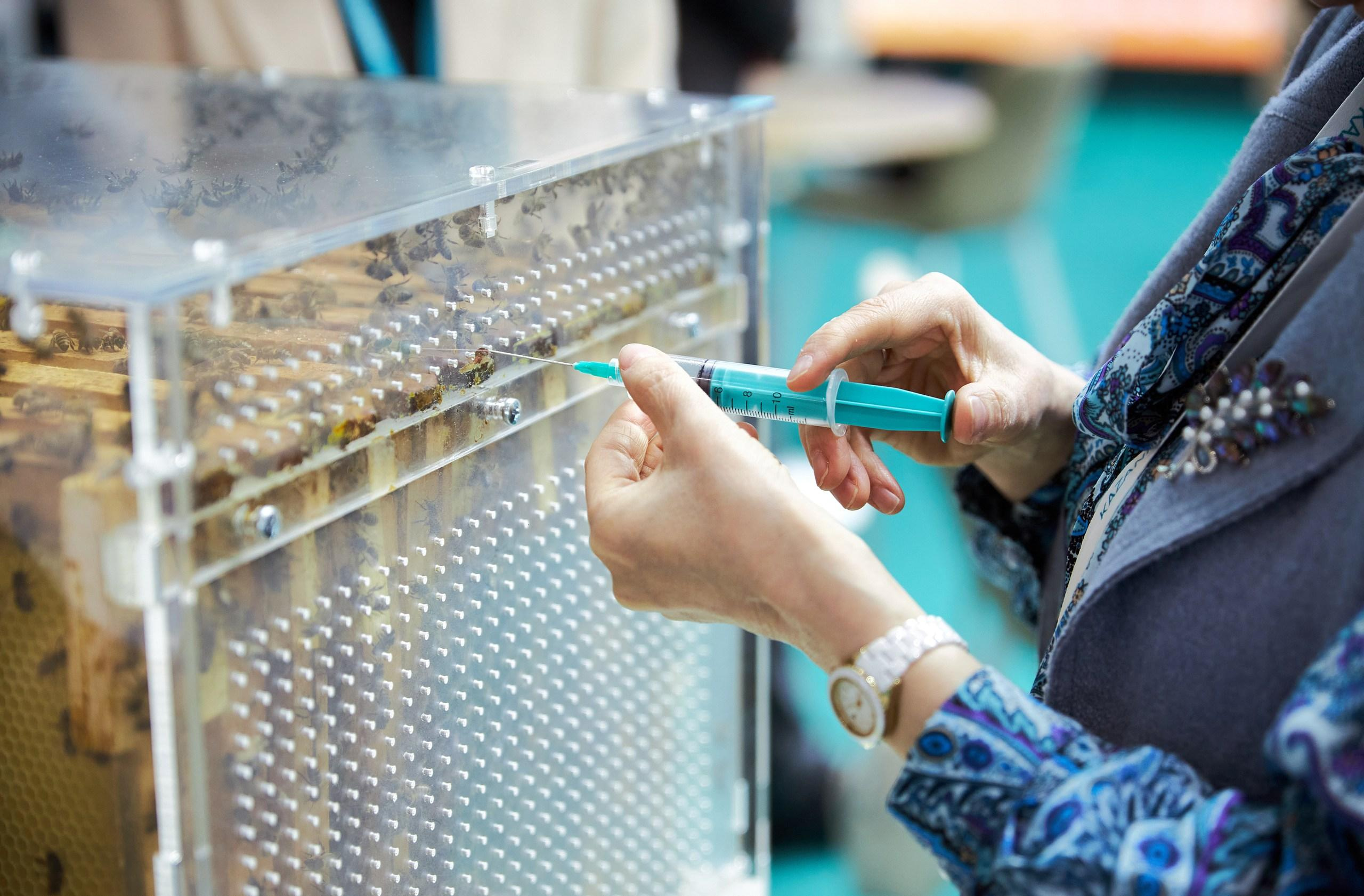 RUSSIA — ISLAMIC WORLD: KAZANFORUM. Фотограф в Казани / Буздалов Кирилл