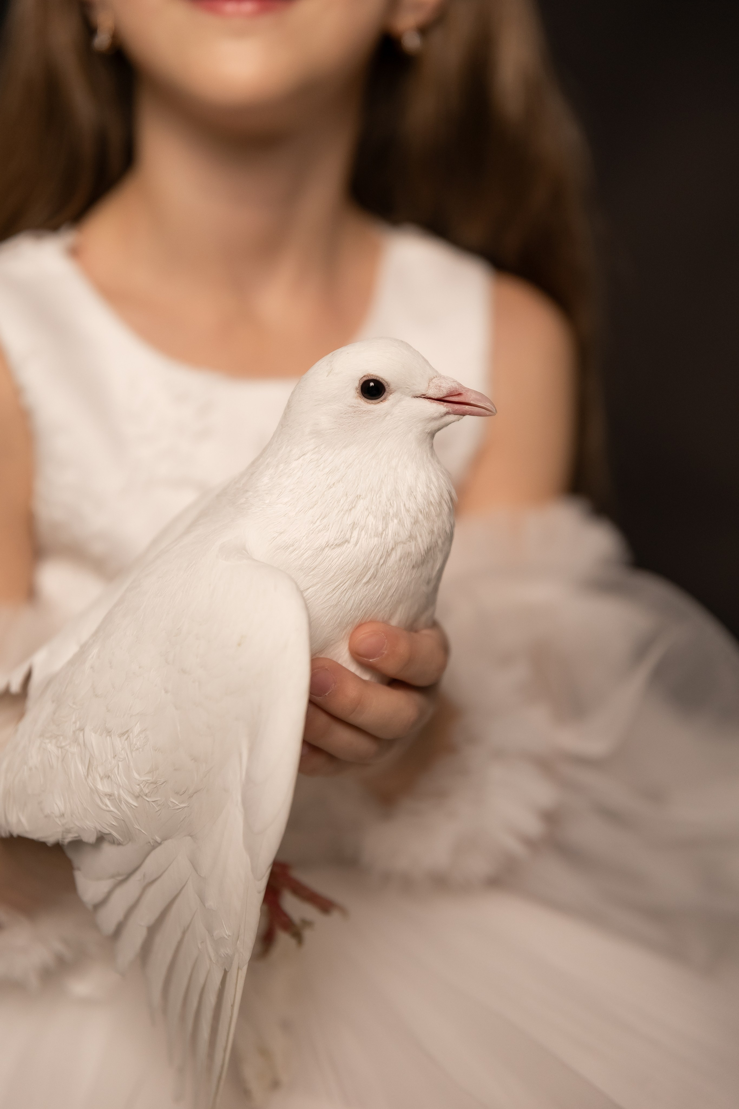 Фотопроект с голубями. Little_Princess.38