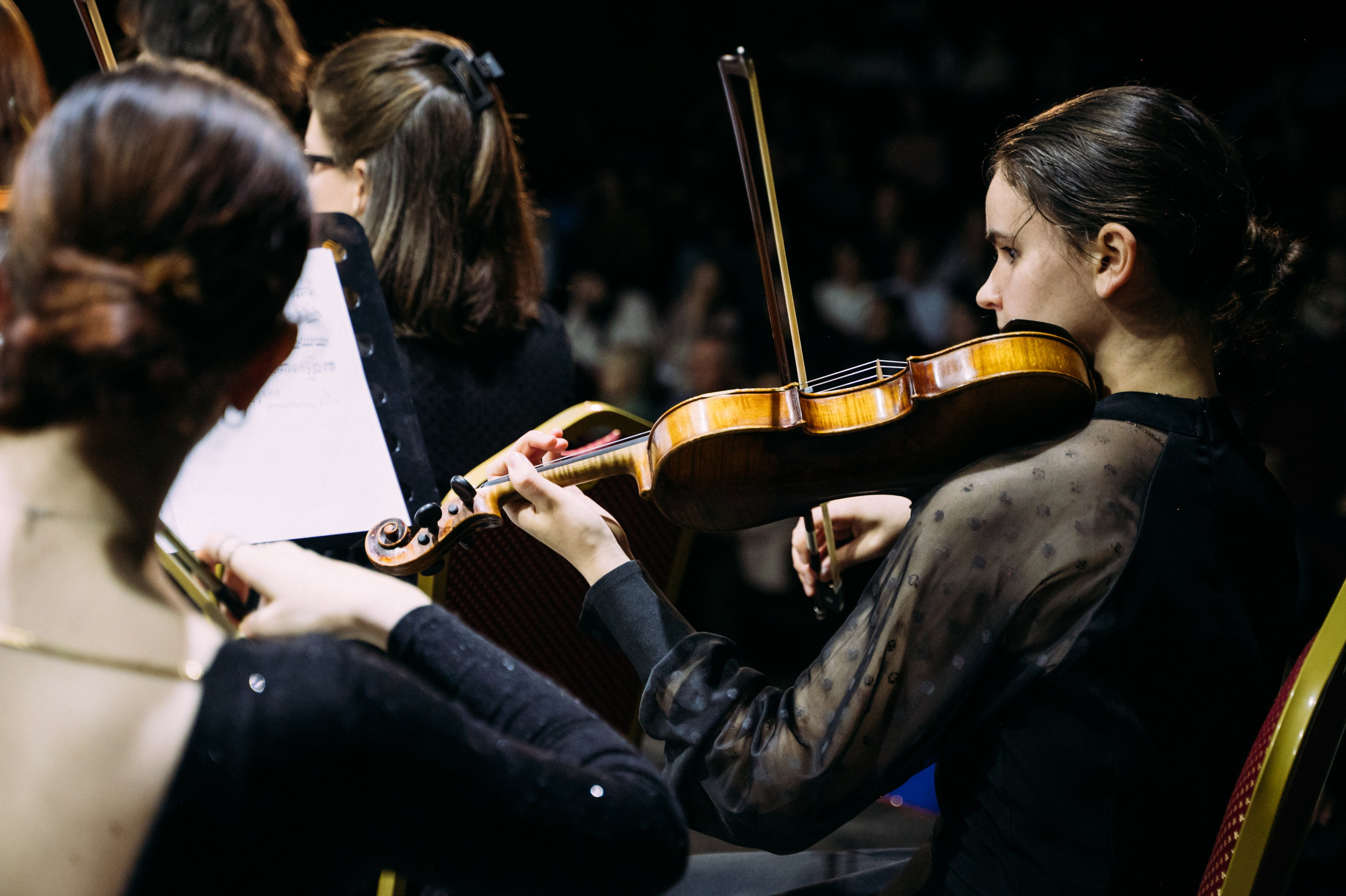 Симфонический оркестр. Фотограф в Волгограде Марина Черных