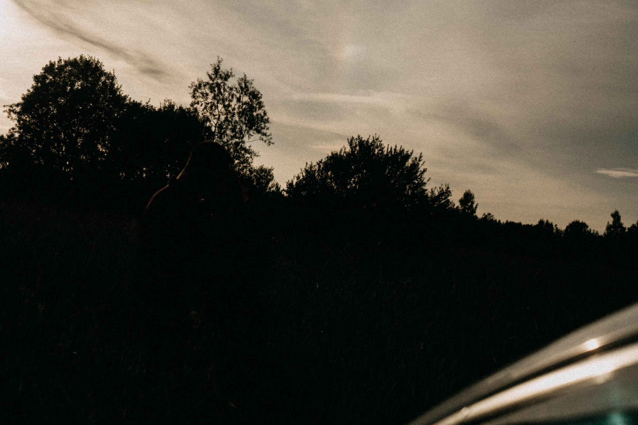 Летняя прогулка. Профессиональный фотограф, Санкт-Петербург — Виктория Богомолова