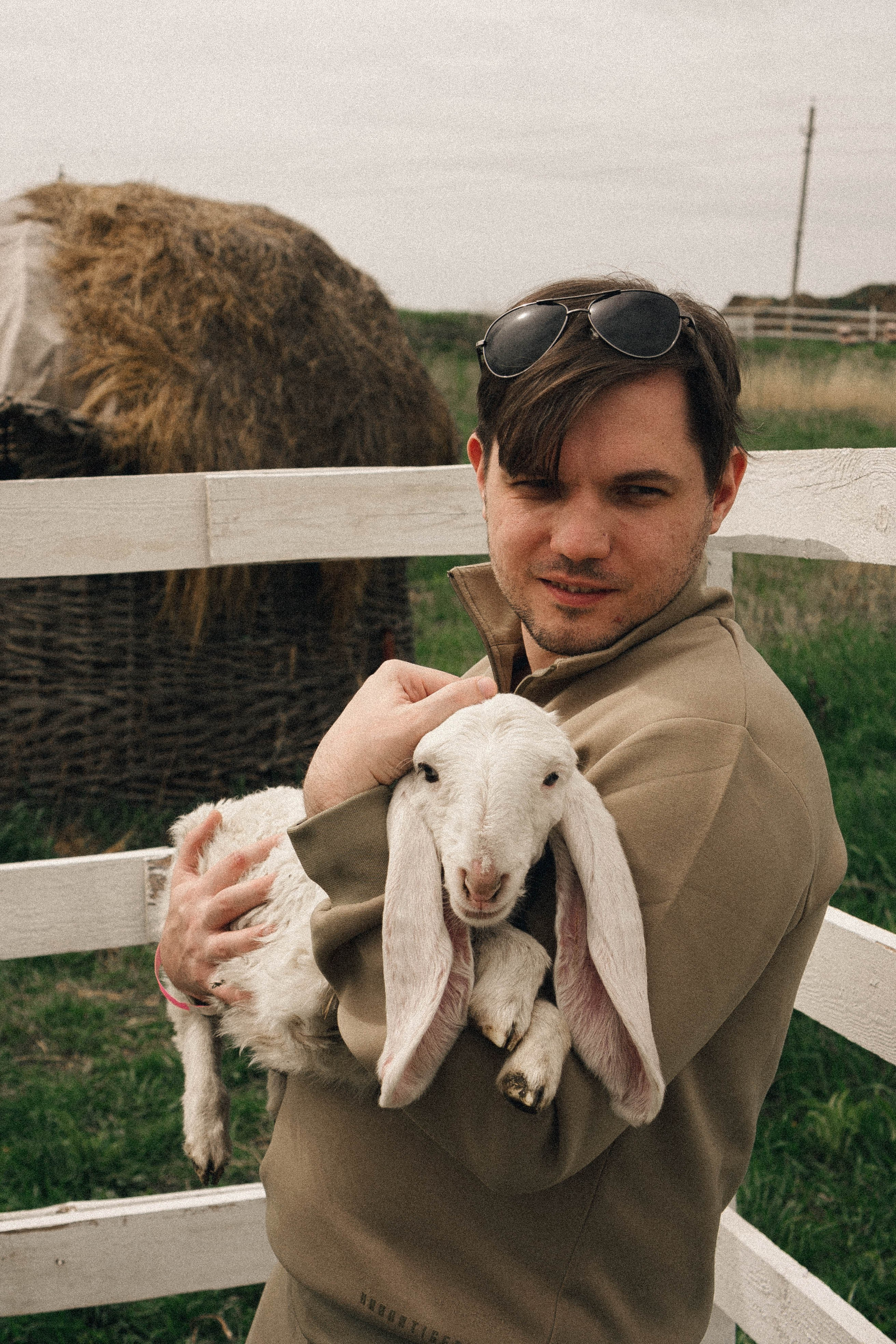 Ферма Альпак. Профессиональный фотограф, Санкт-Петербург — Виктория Богомолова