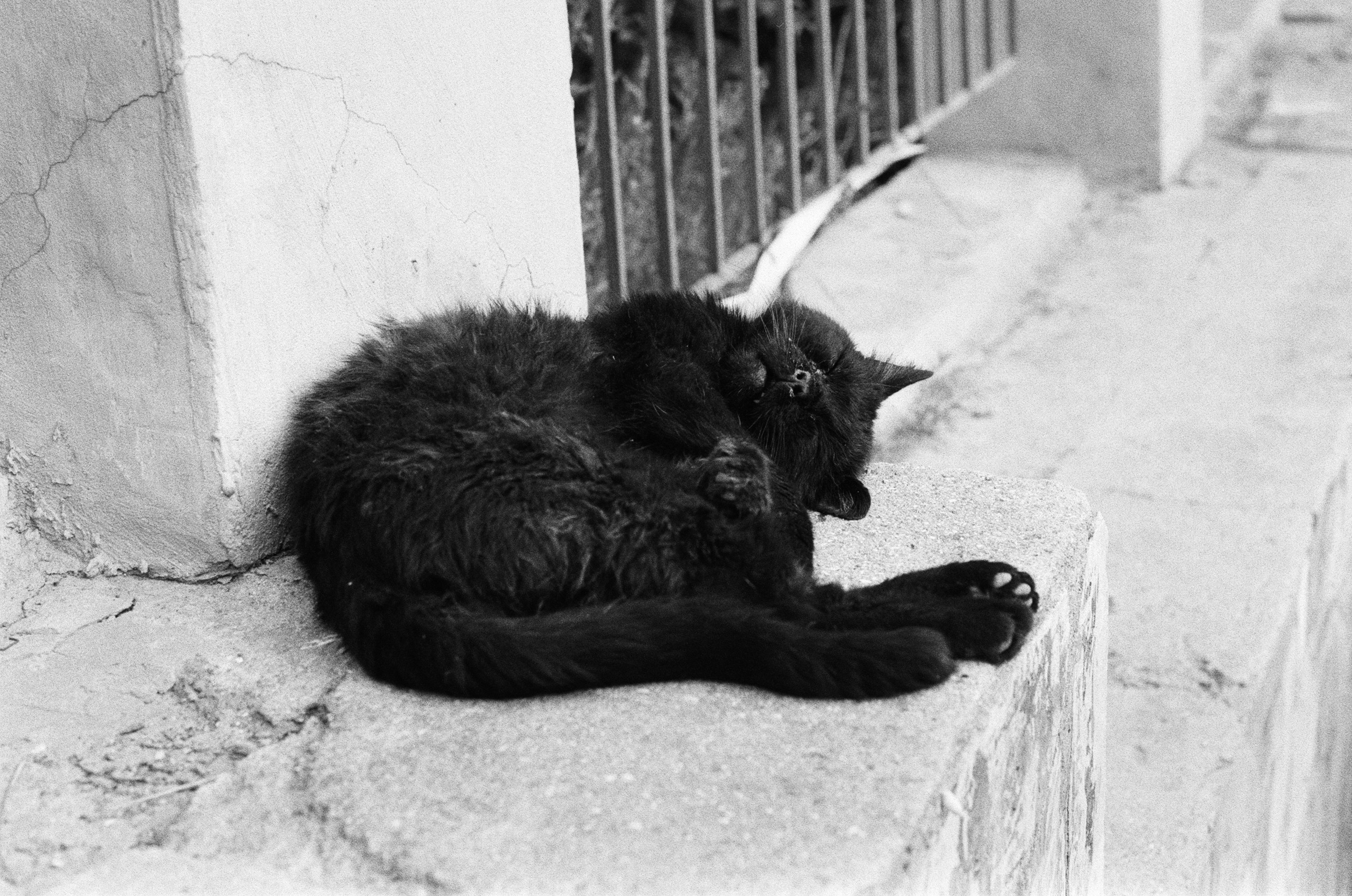 Oblomki chuvstv // ukraine, crimea III. EVER EXPOSED