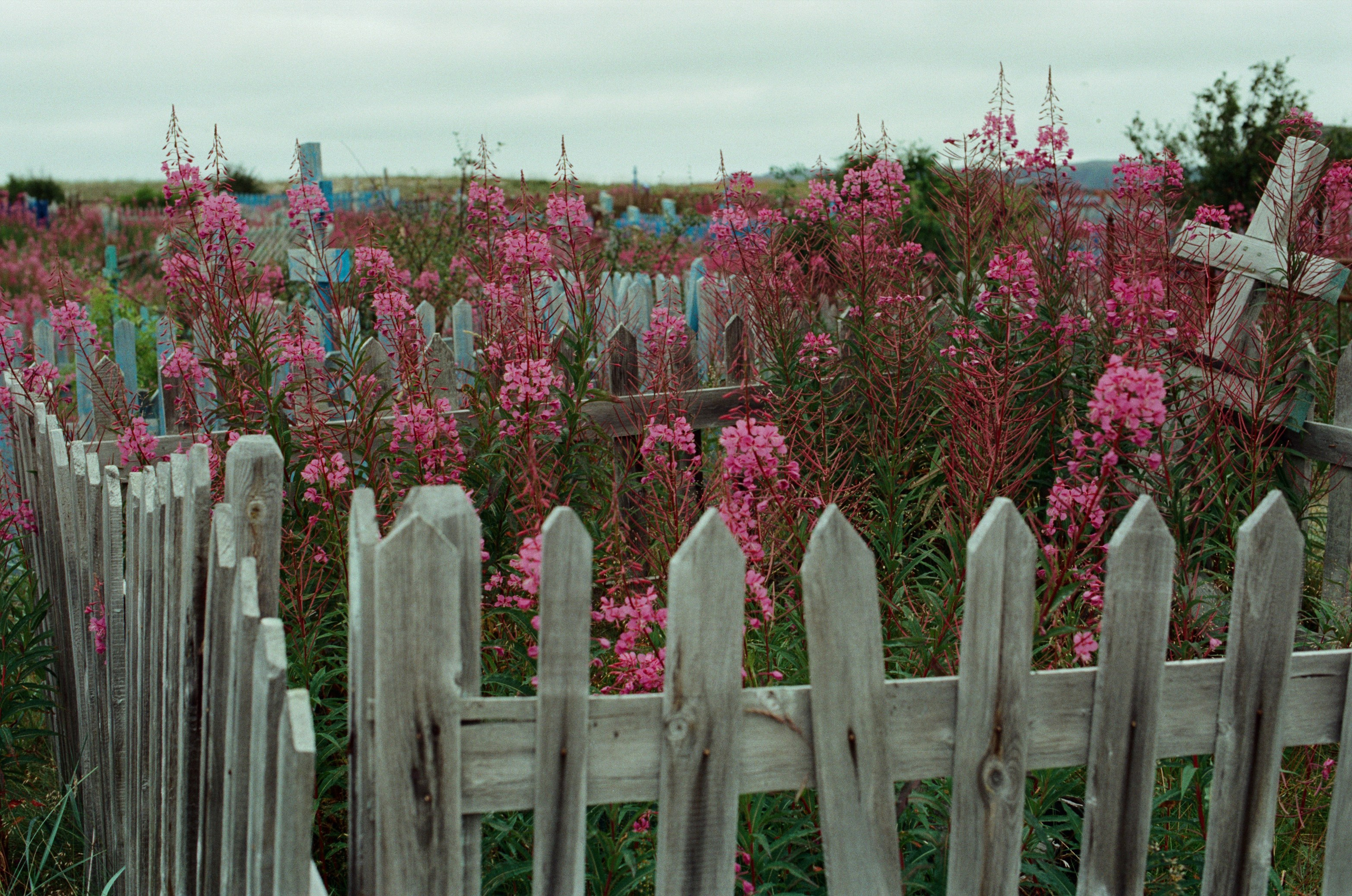 High and dry // teriberka. EVER EXPOSED