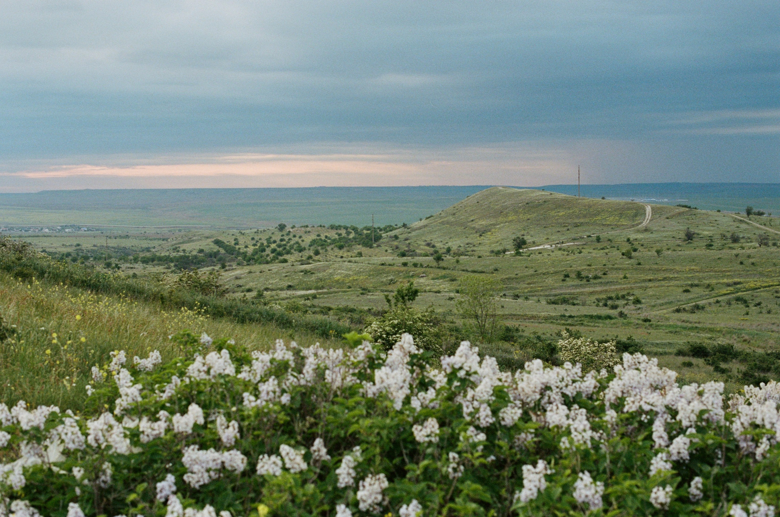 Champagne supernova // ukraine, crimea. EVER EXPOSED