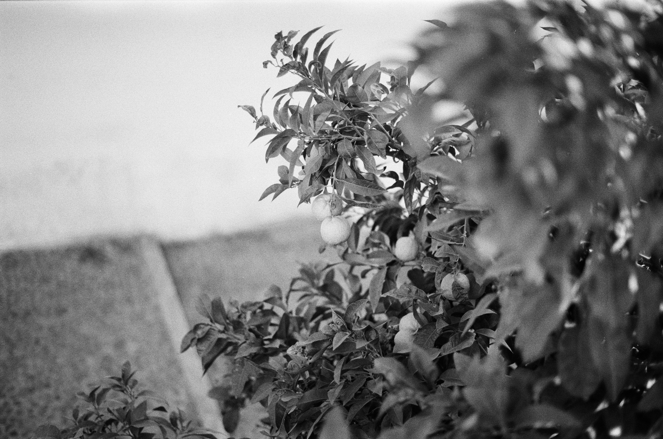 Spanish sahara // spain, granada. EVER EXPOSED