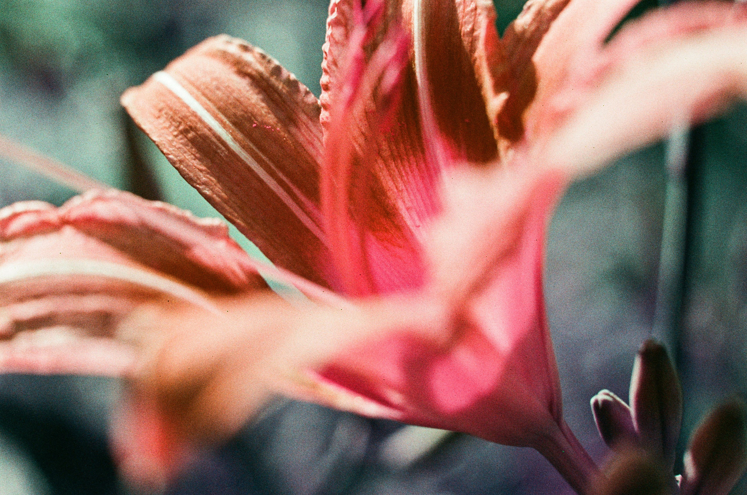 Point of no reply // ukraine, crimea IV. EVER EXPOSED