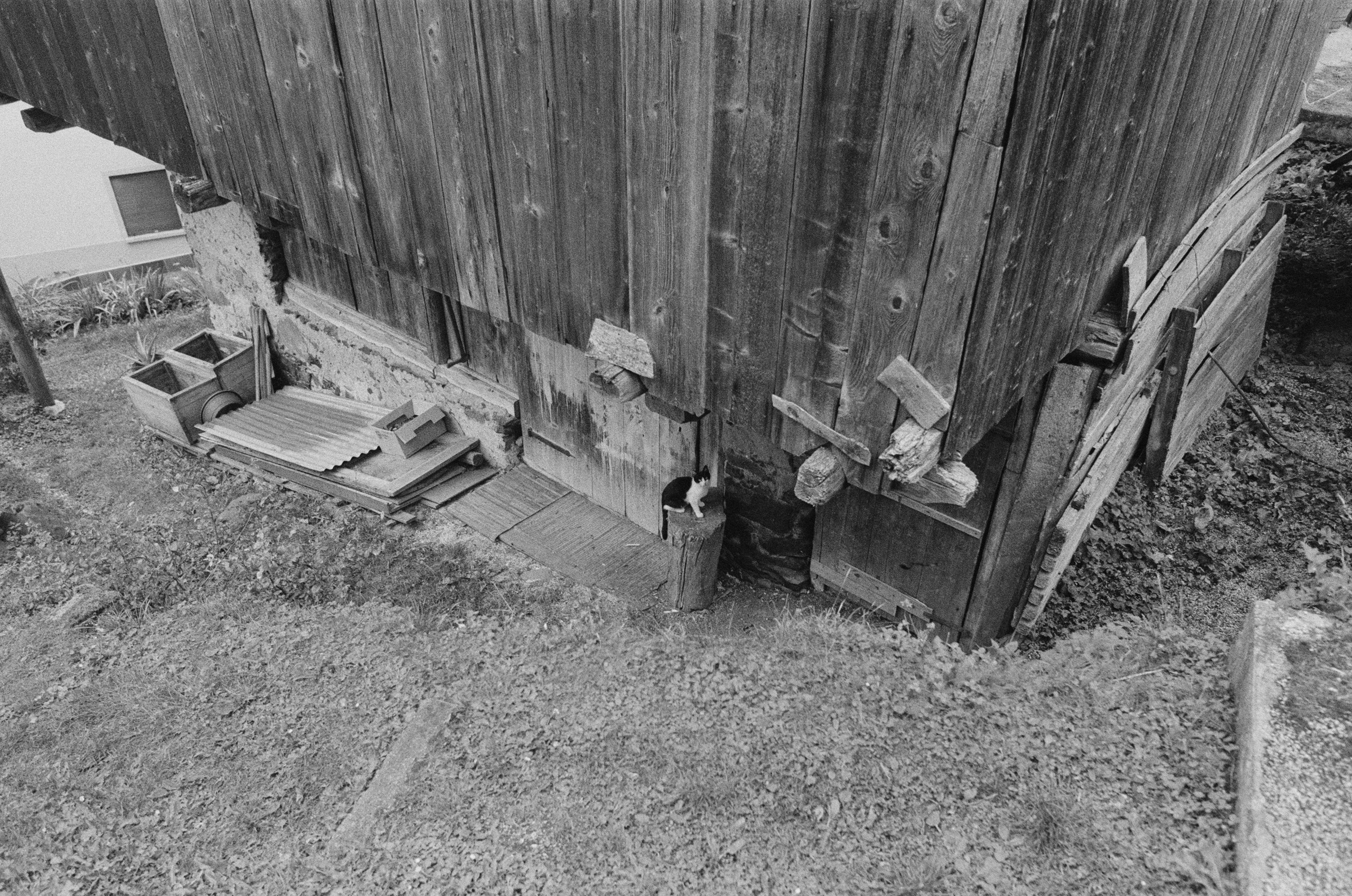 Are you coming // italy, rocca pietore. EVER EXPOSED