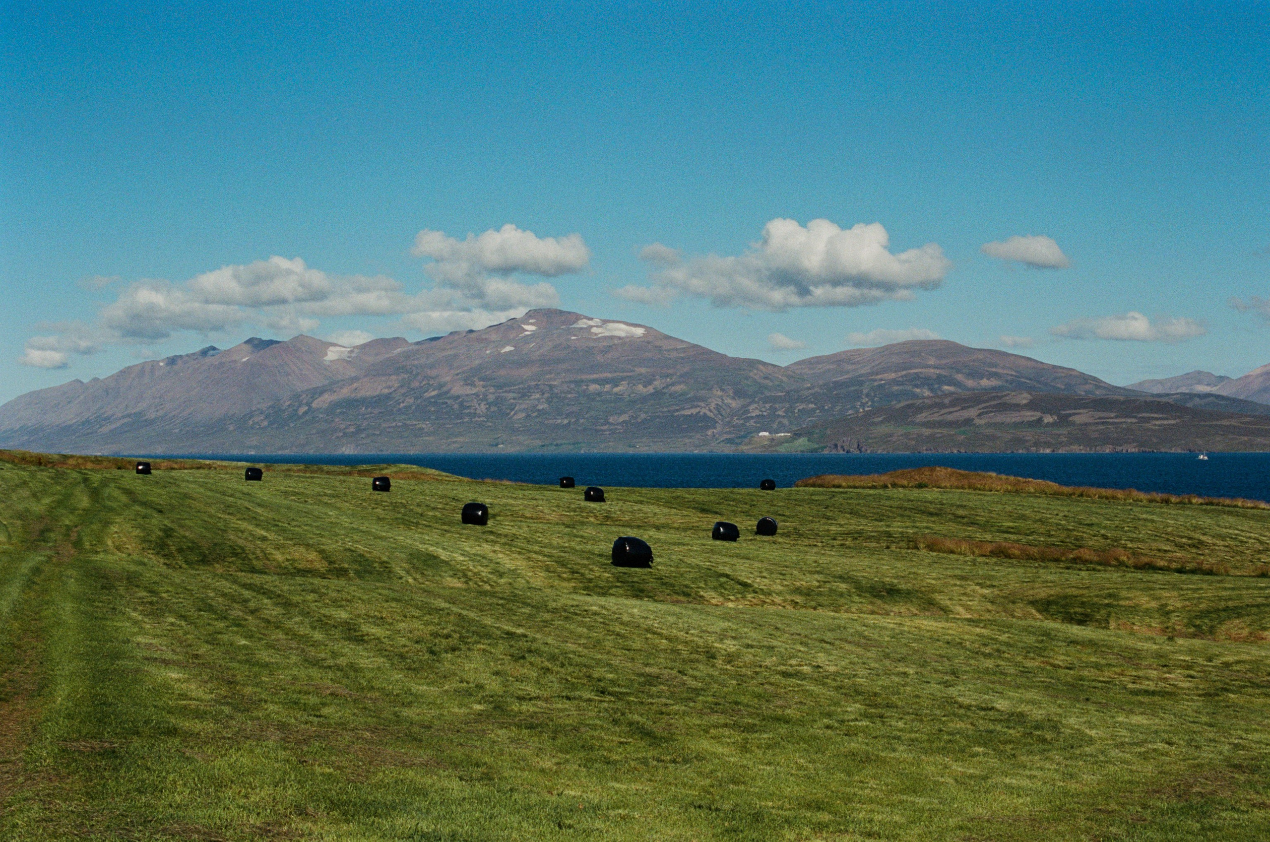 Vor i vaglaskogi // iceland, 82. EVER EXPOSED
