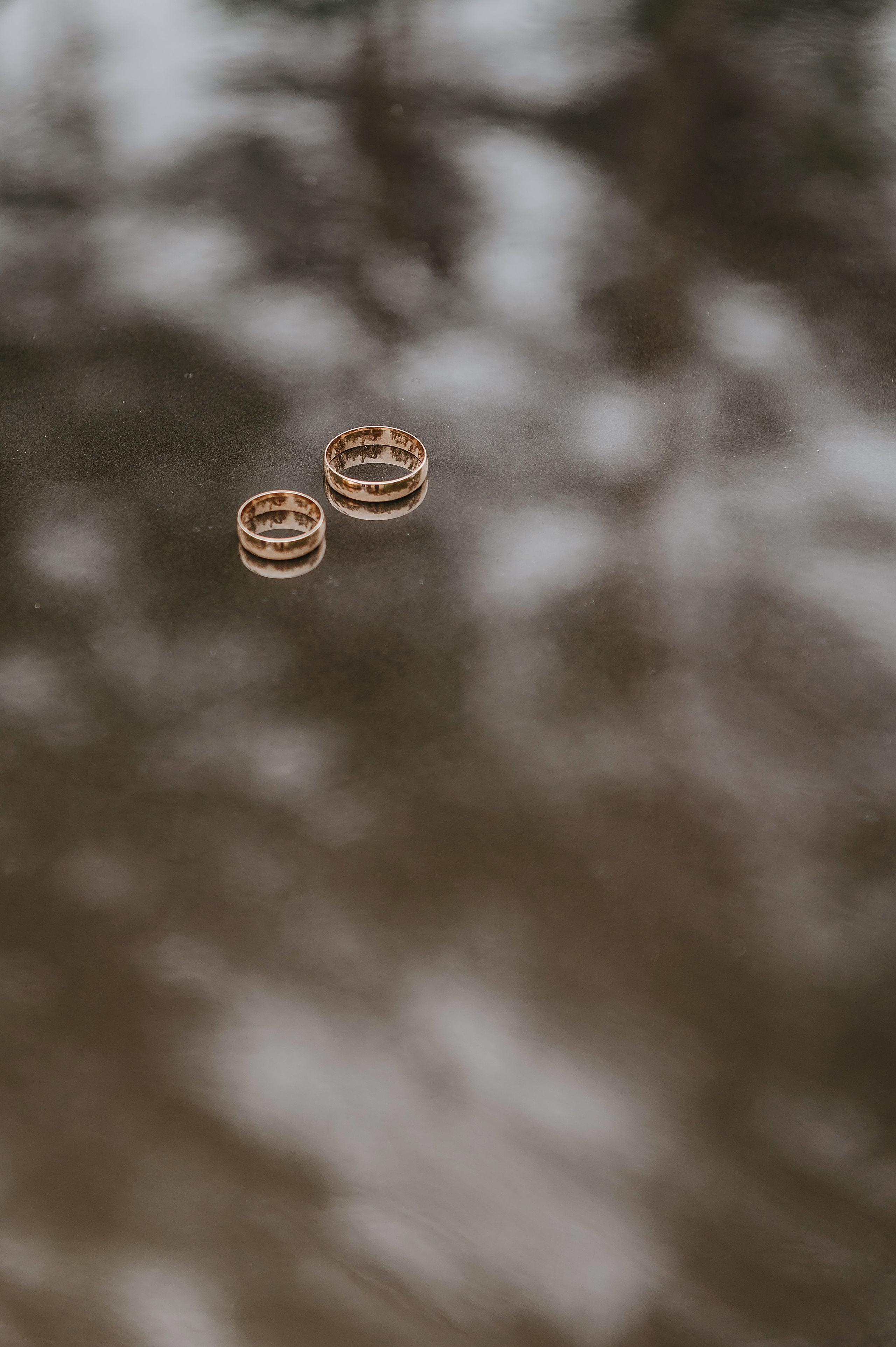 Дима и Роксана. Свадебный фотограф Марина Жемчужникова в Москве и в Белгороде