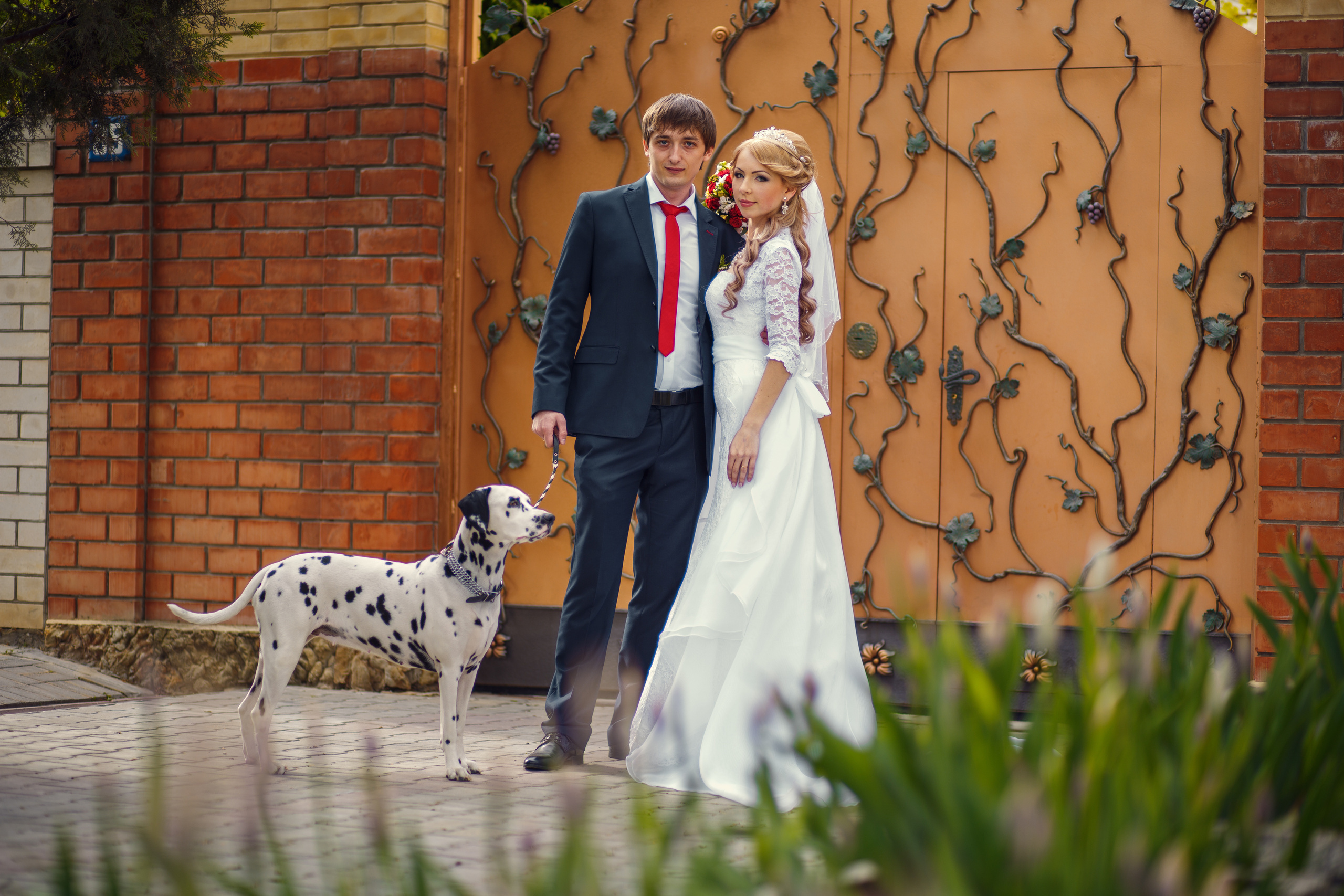 Renatphoto-Пример свадебных фотографий в базовой обработке. Профессиональная фотосъёмка интерьеров, предметная фотосессия еды для меню г. Анапа