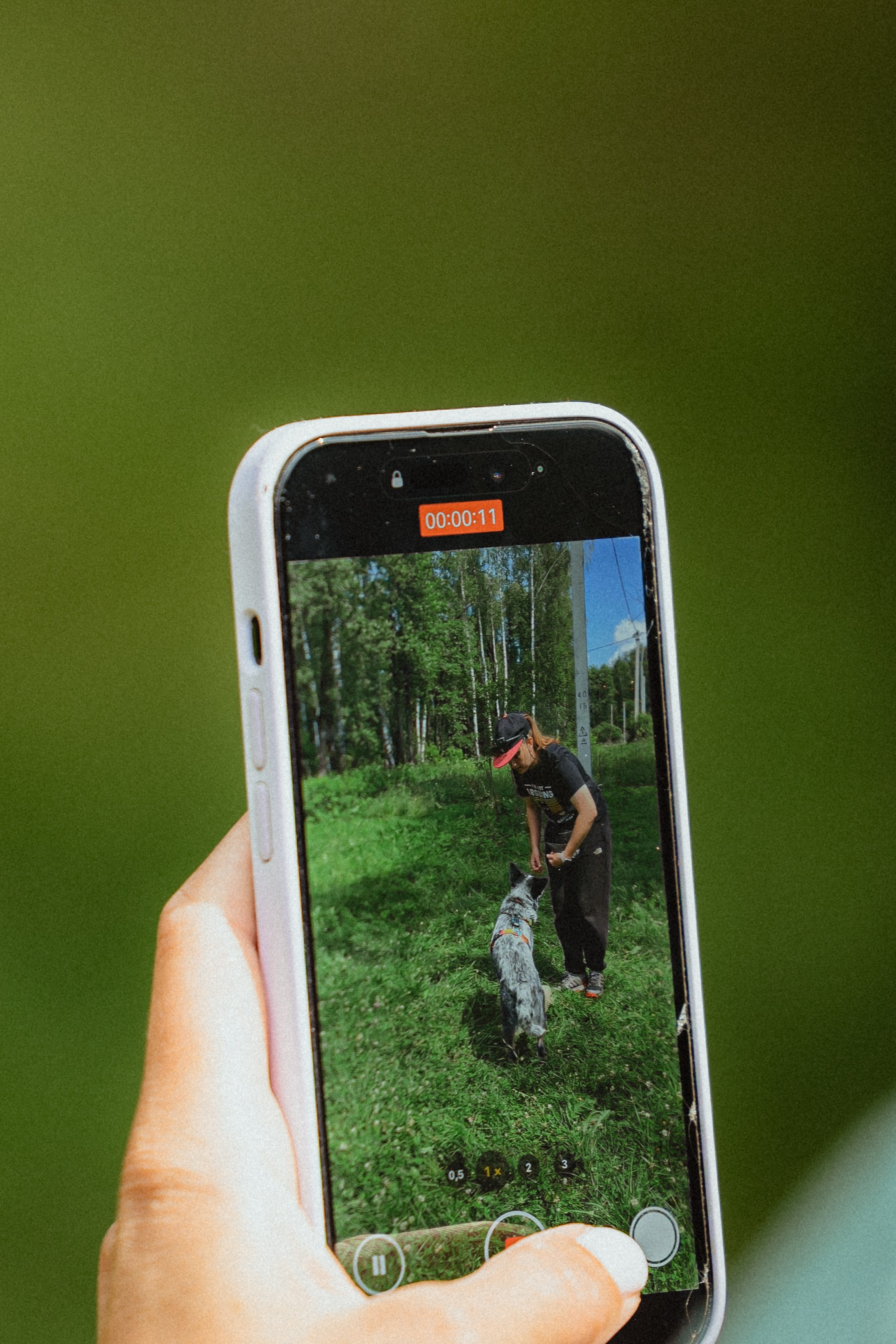 Выездной дог-тренинг от школы «Шерсть имею»