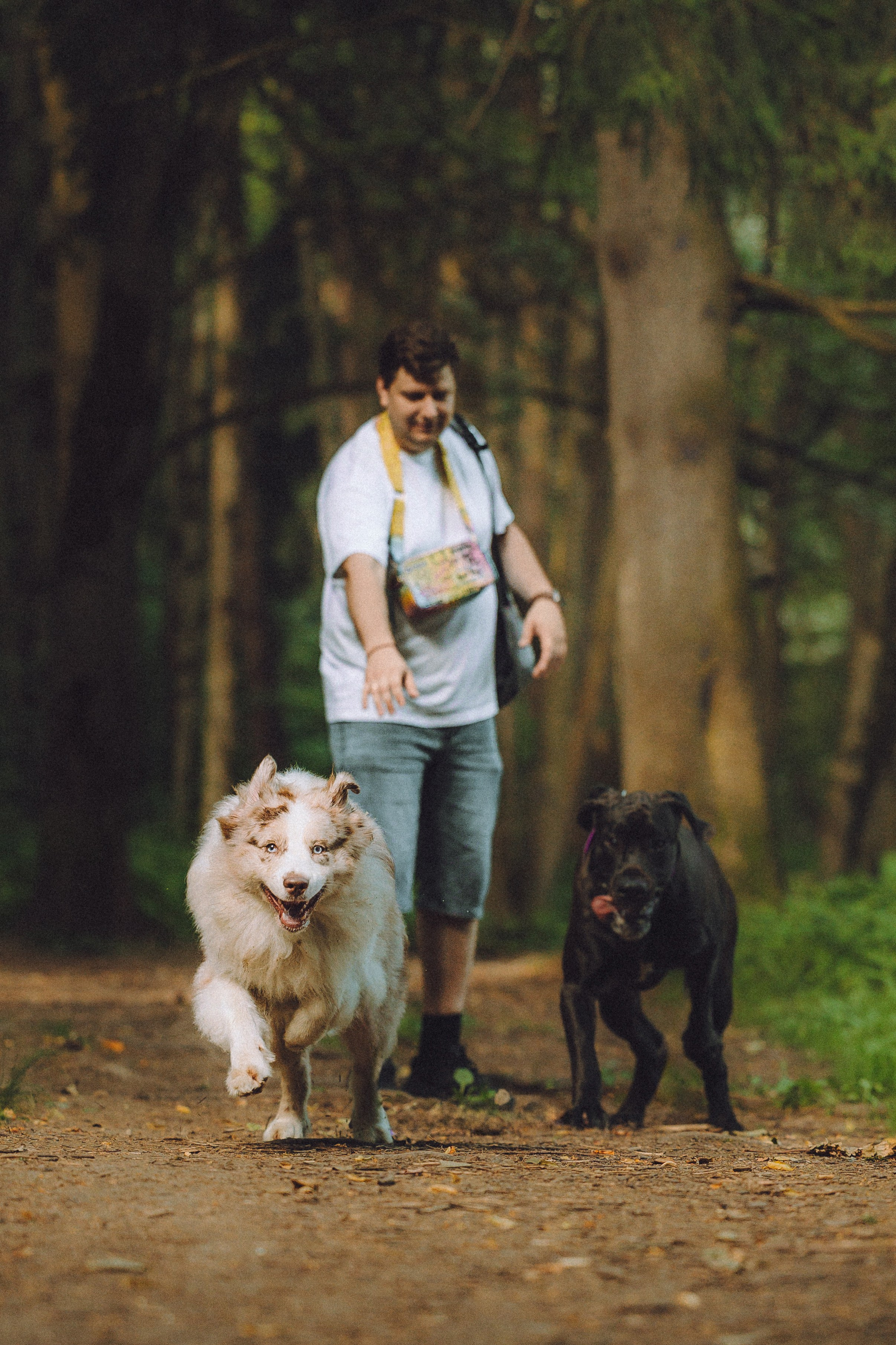 Катя, Андрей, Гектор, Ричи, Тортик и Трой