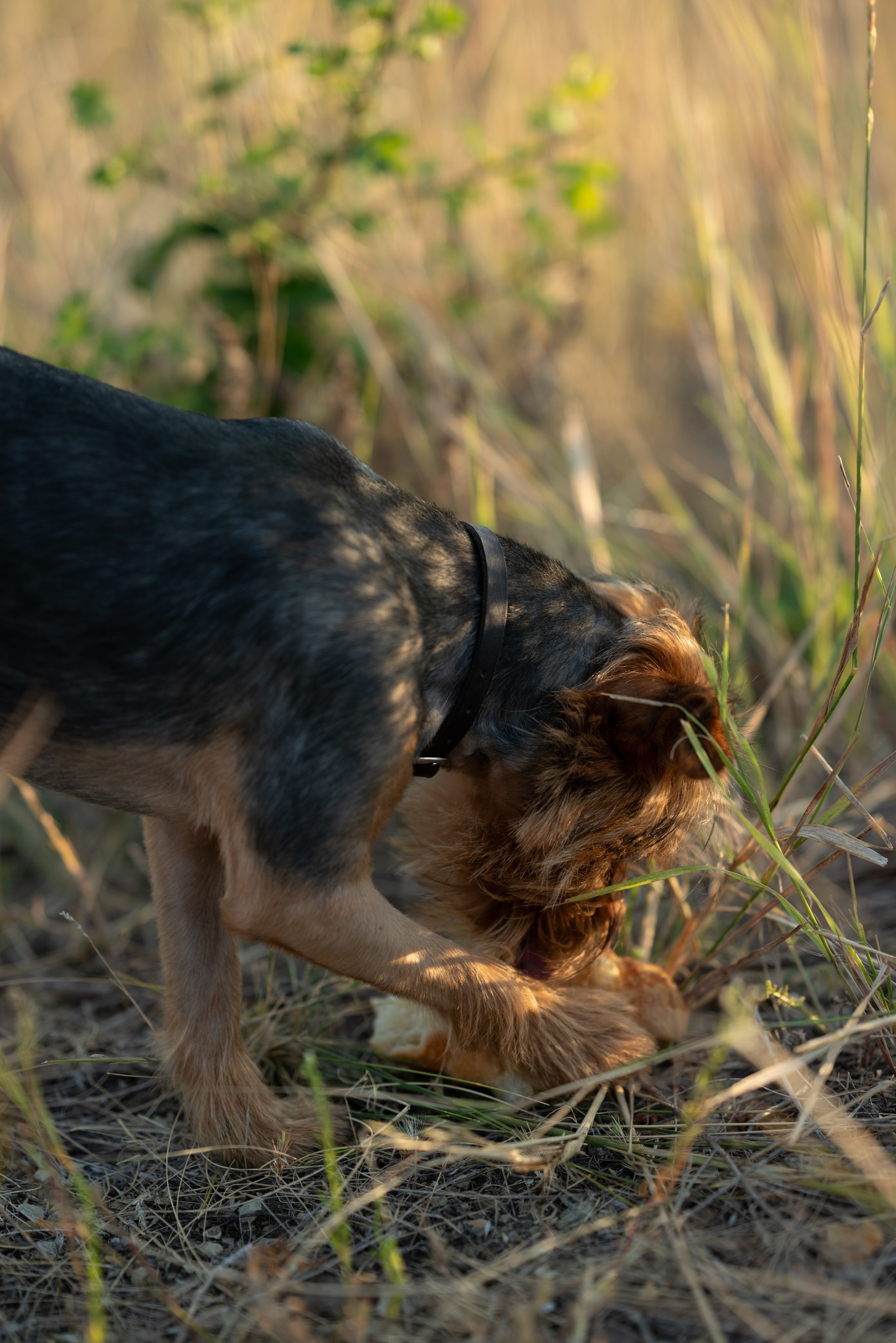 Семья Джаманкуловых. Семейный, женский и детский фотограф в Саратове Айгуль Дюсенбаева