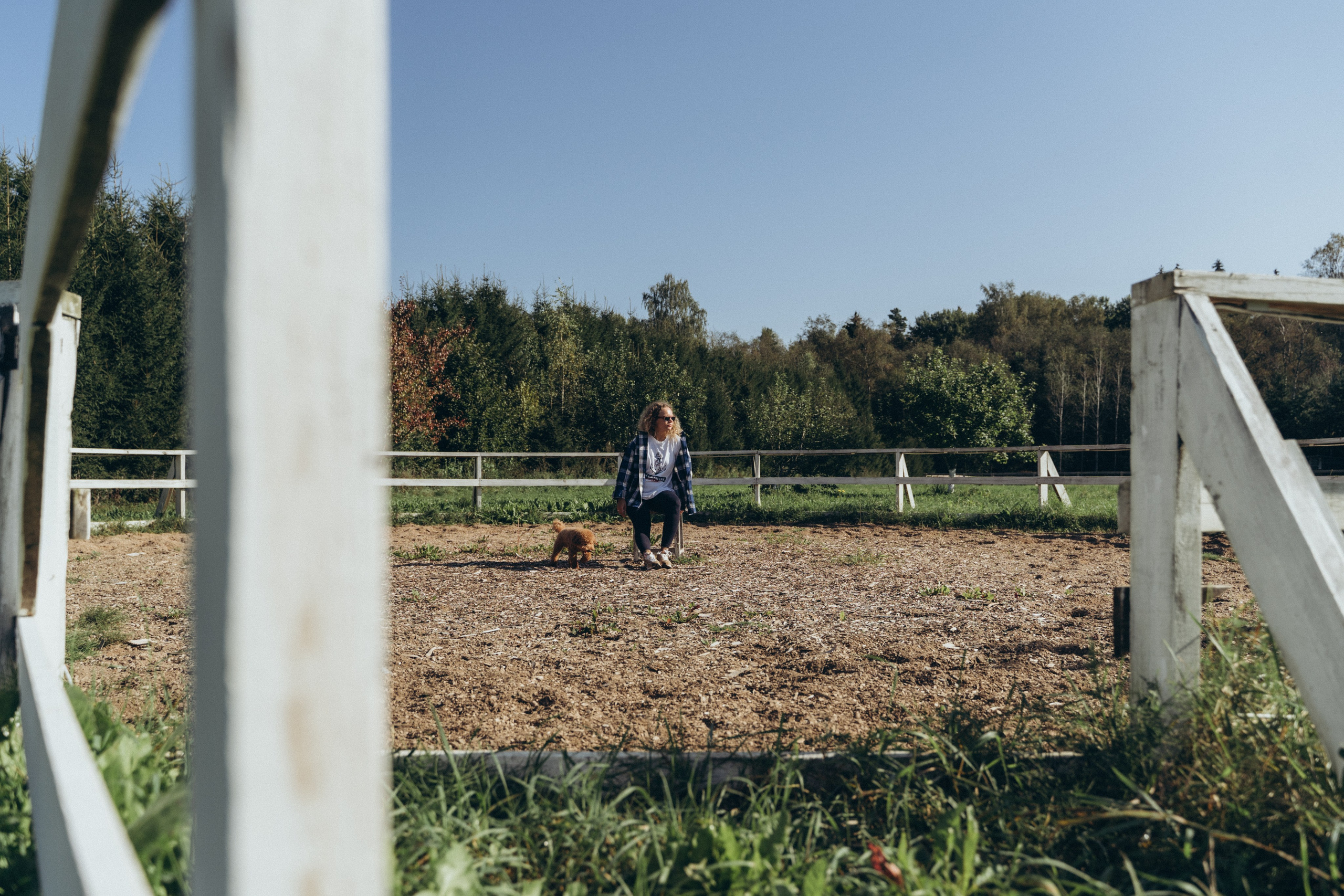 Даша. Главная