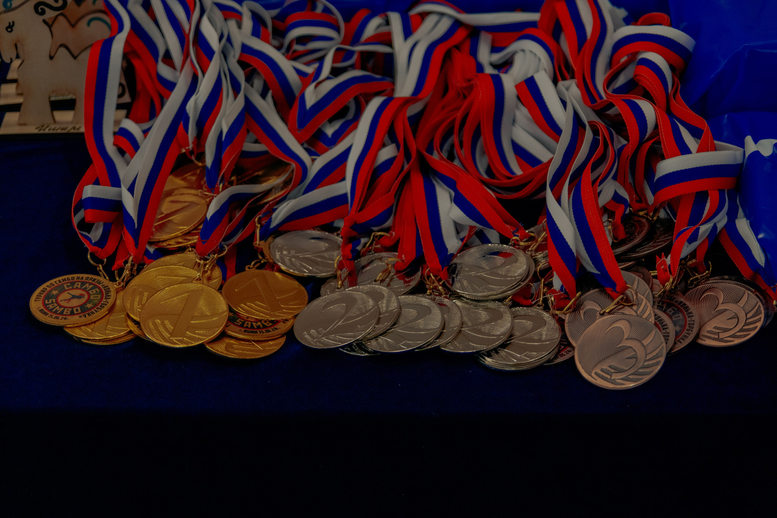 Самбо город Ишим