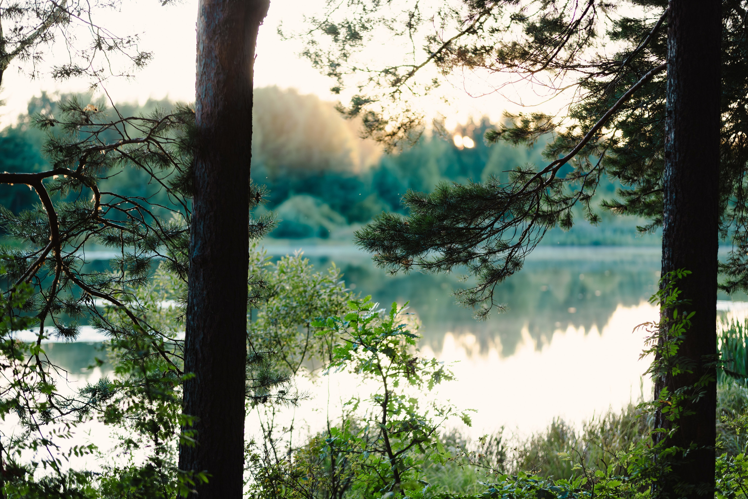 Лето. Фотограф в Ветлуге Сергей Белов (VETLUGA B.S.)