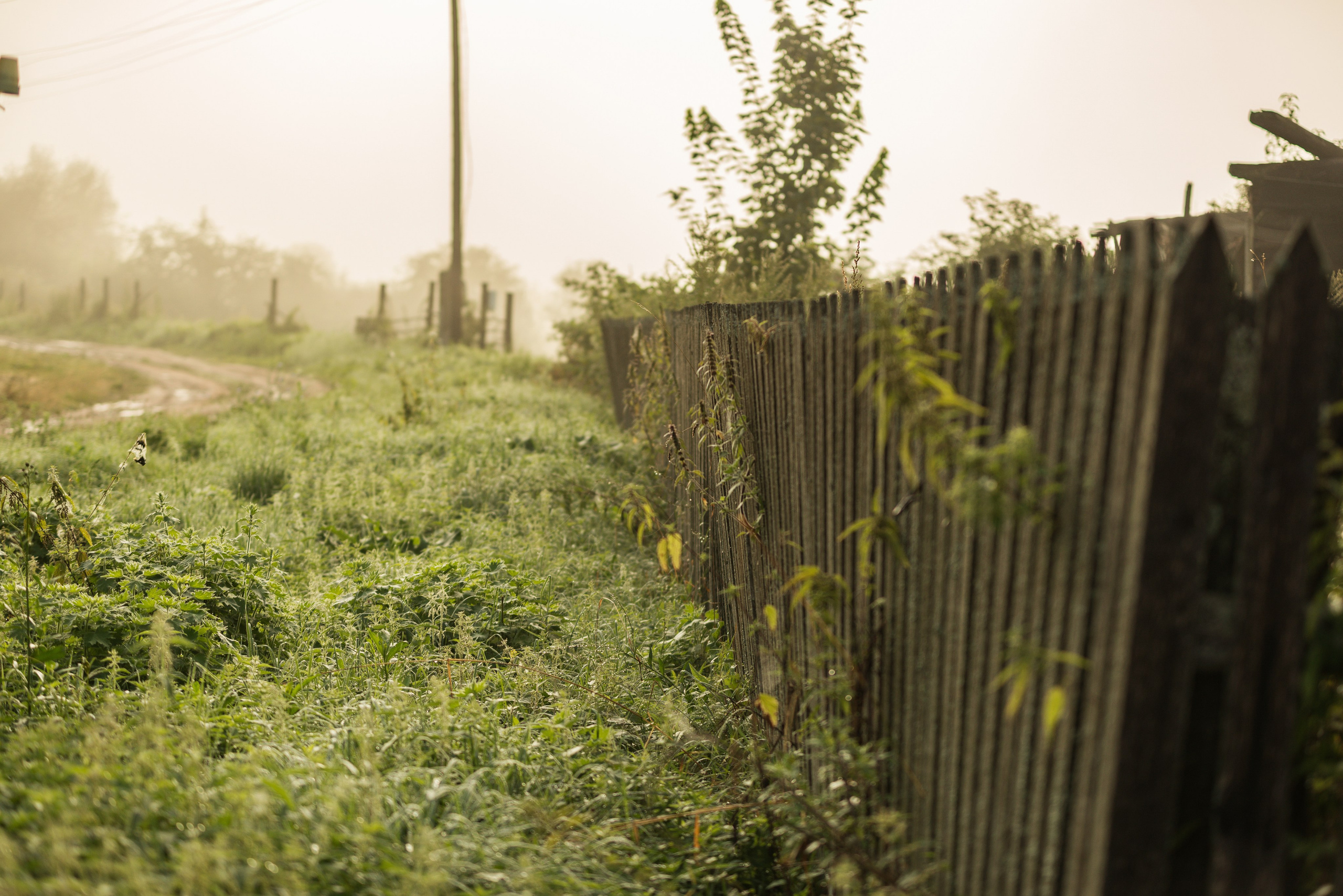 Утро августа. Фотограф в Ветлуге Сергей Белов (VETLUGA B.S.)
