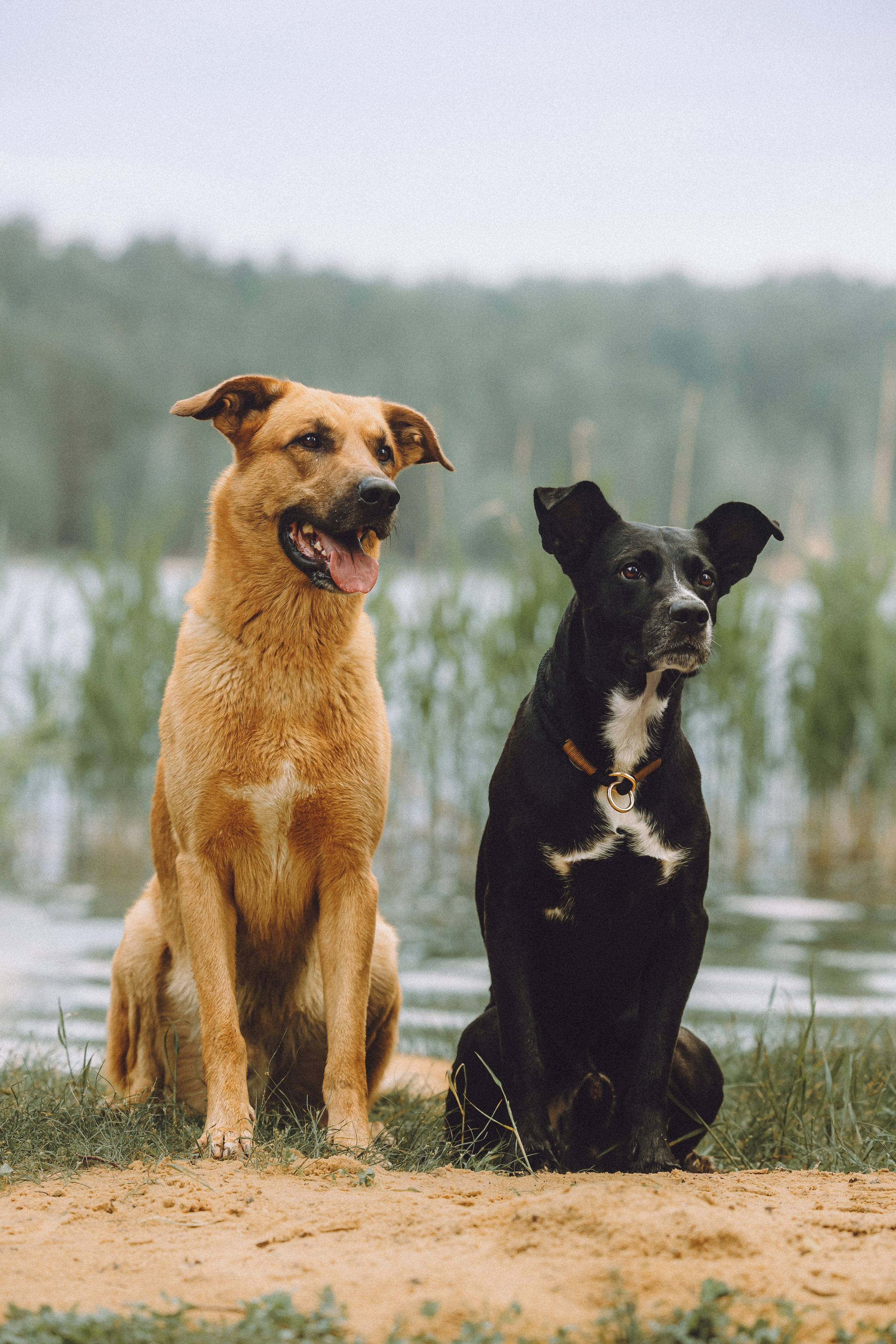 Роби, Тео и их семья