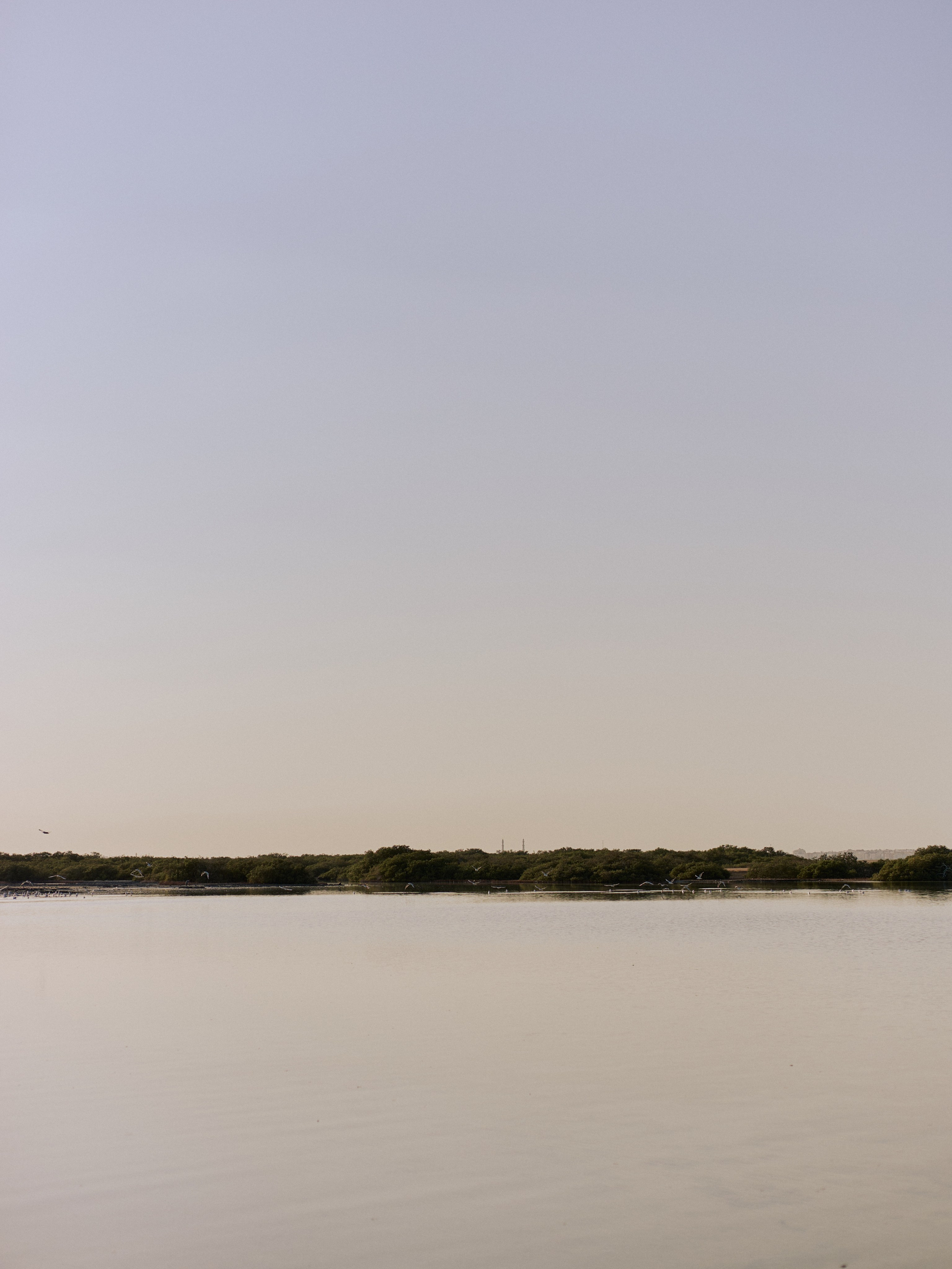 Другое 3. Jorgis Talè — photographer, kind person, teacher of arts and other mag