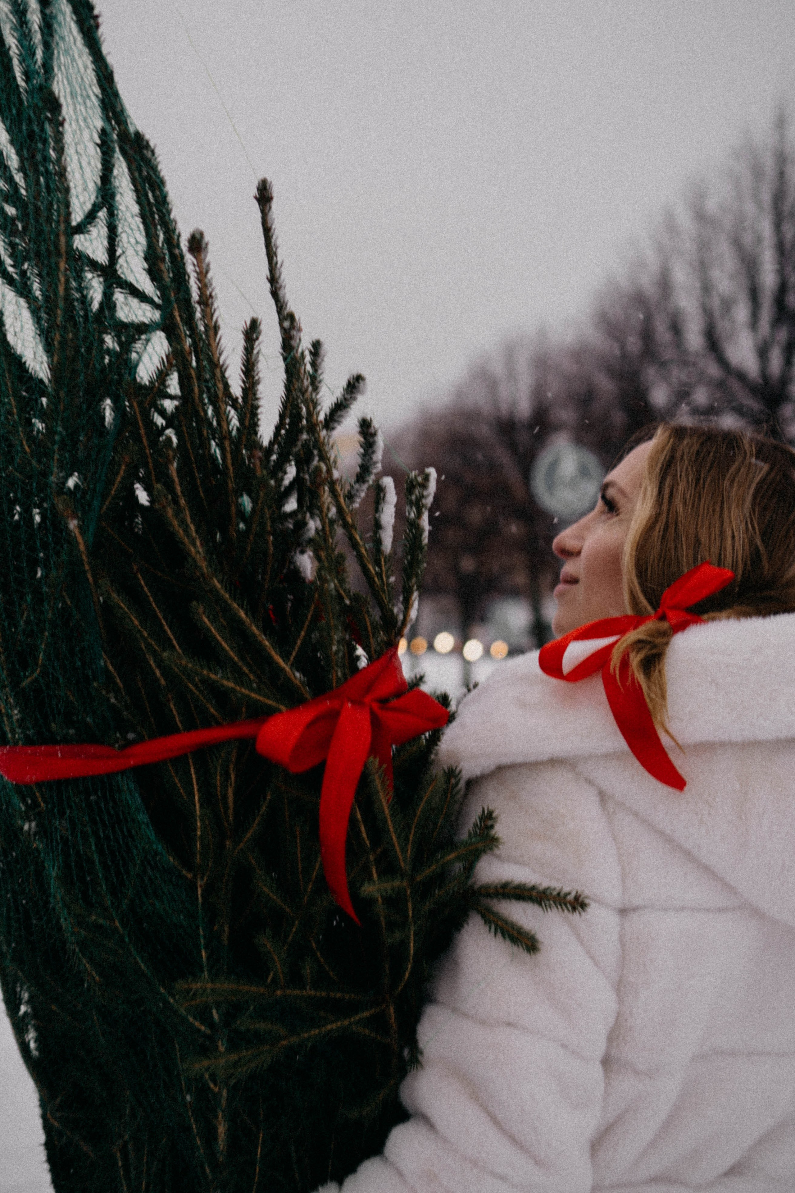 Новогодняя. Профессиональный фотограф, Санкт-Петербург — Виктория Богомолова